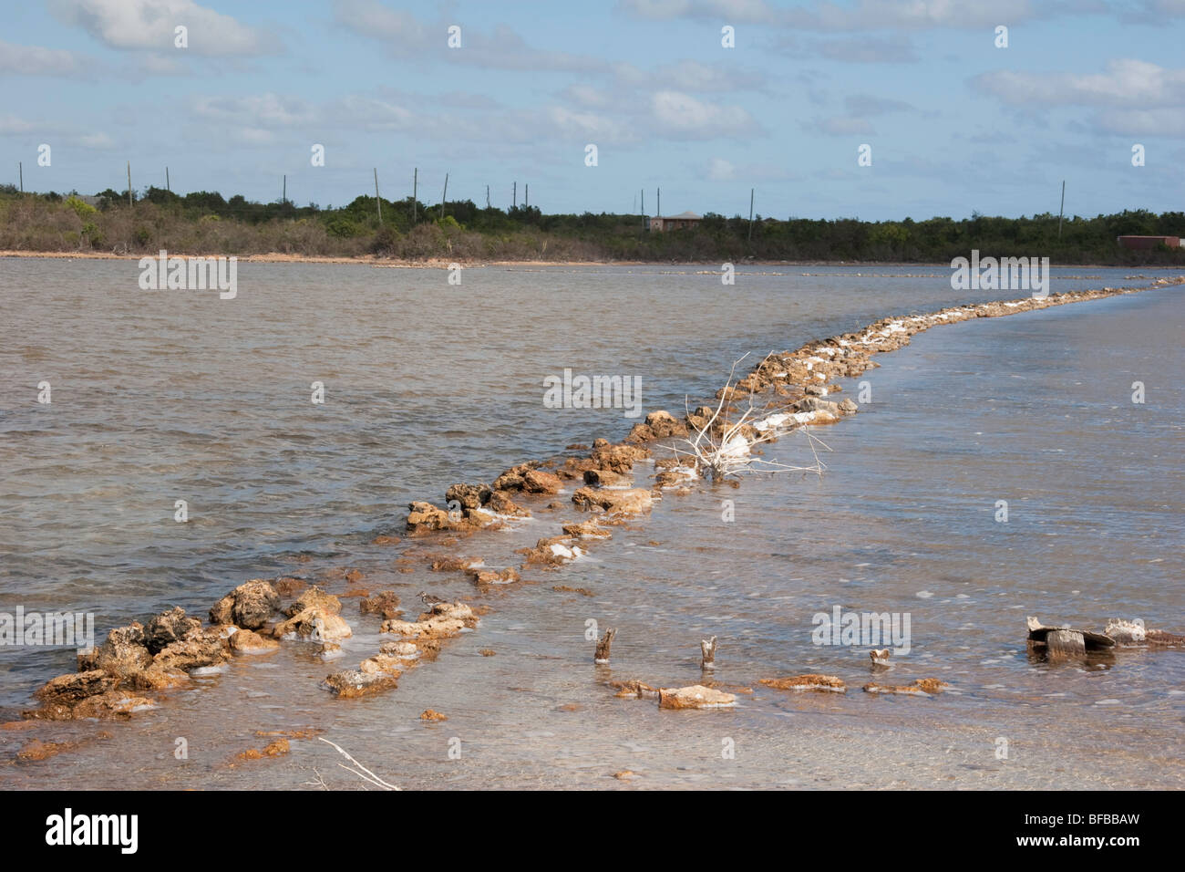 A stone boundary in west end salt pond behind shoal bay west