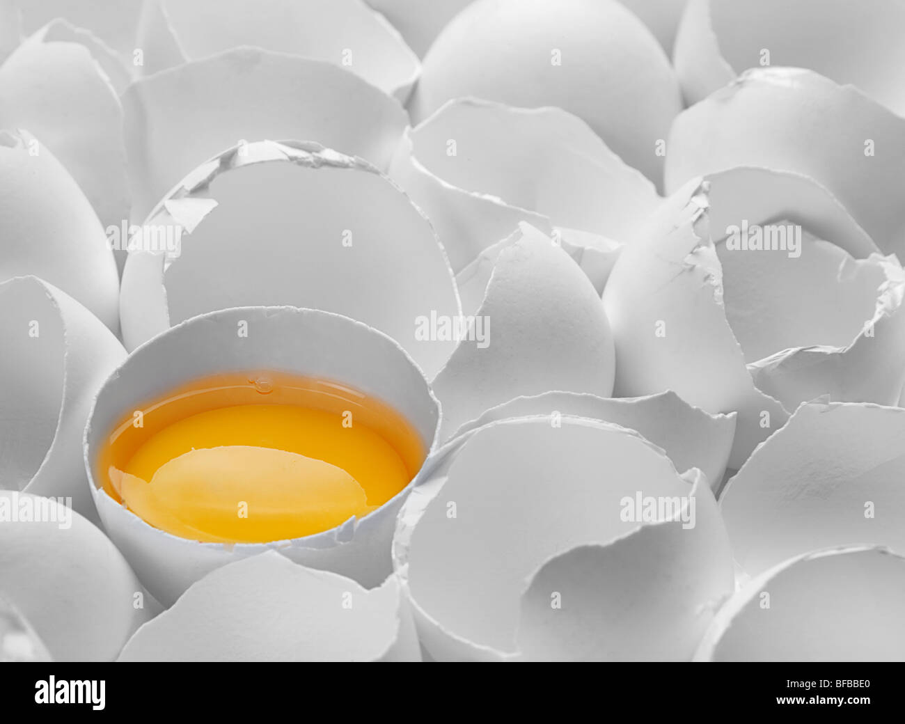 One yelk in white broken chicken egg shell Stock Photo