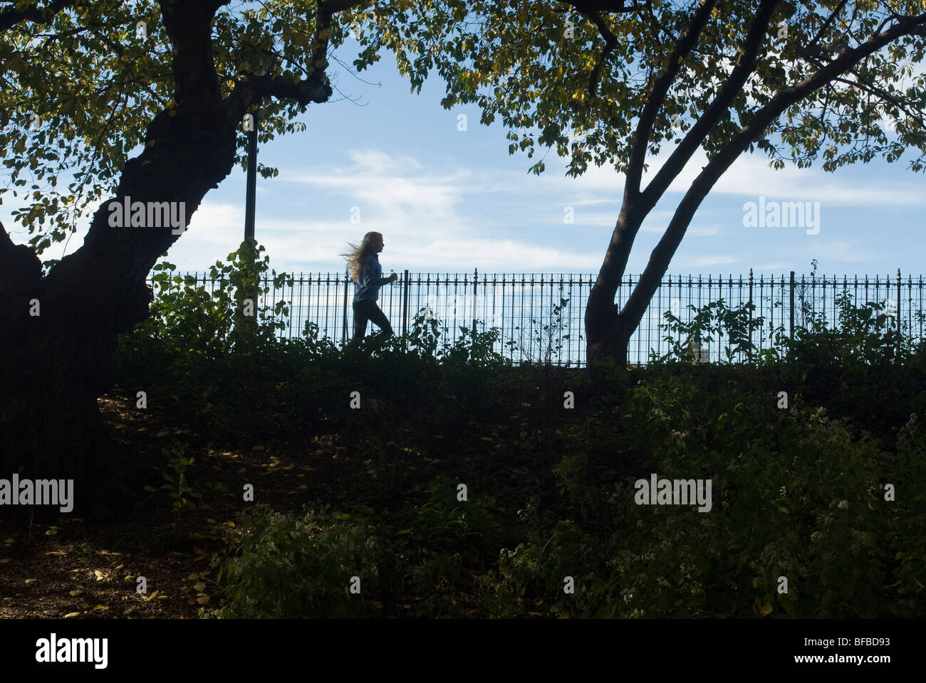 Jogging along the path around the reservoir in Central Park on Sunday, October 25, 2009. (© Richard B. Levine) Stock Photo