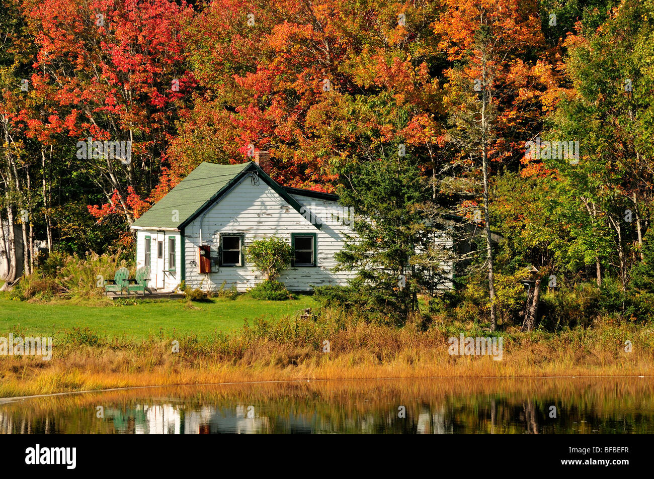 An old house near Bar Harbor, Maine, USA, surrounded by autumn foliage