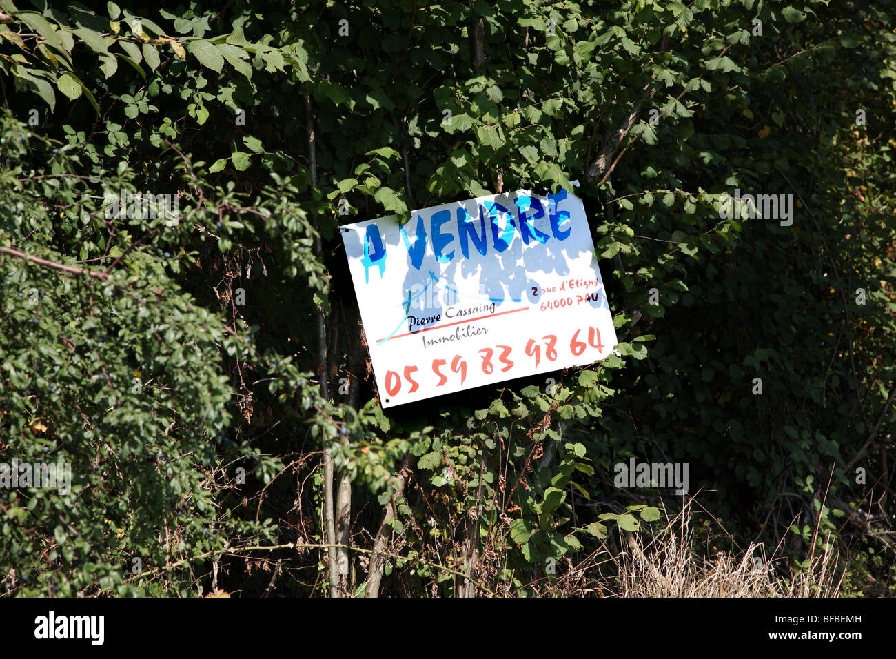 Land for sale sign in Gan, France Stock Photo Alamy