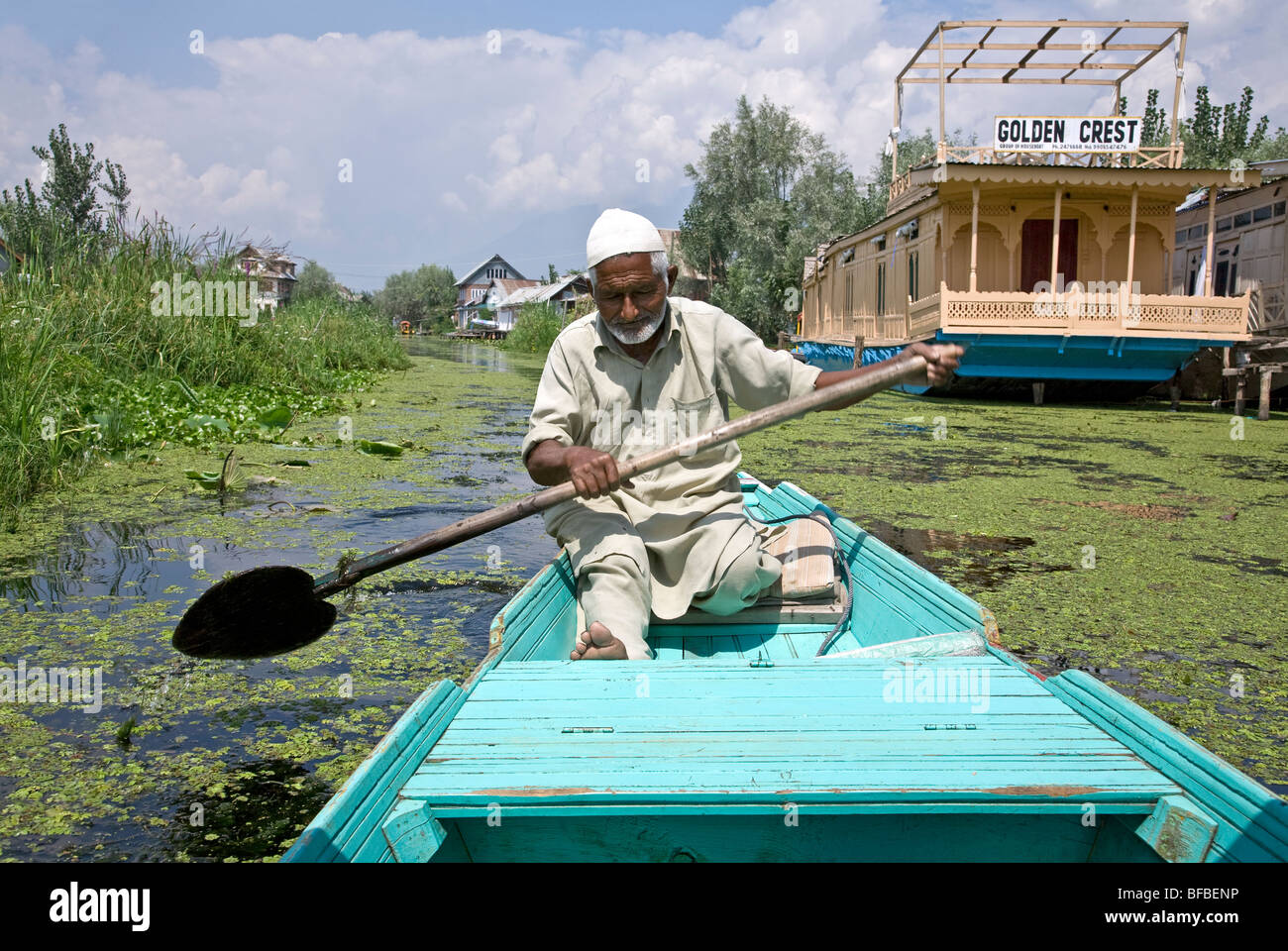 muslim-man-paddling-a-shikara-traditional-boat-dal-lake-srinagar-kashmir-BFBENP.jpg