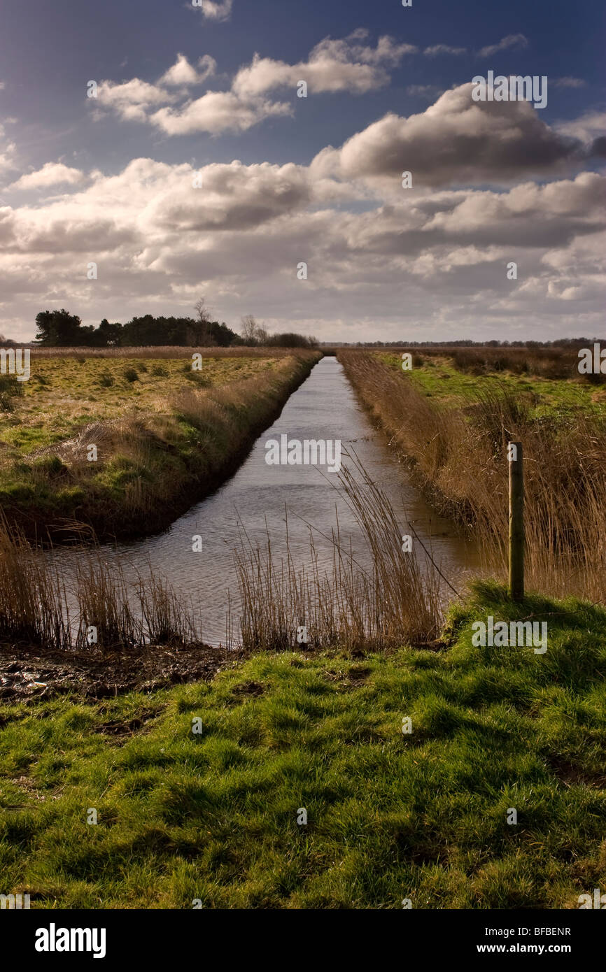 A channel in a Norfolk Broads landscape Norfolk East Anglia UK Stock Photo