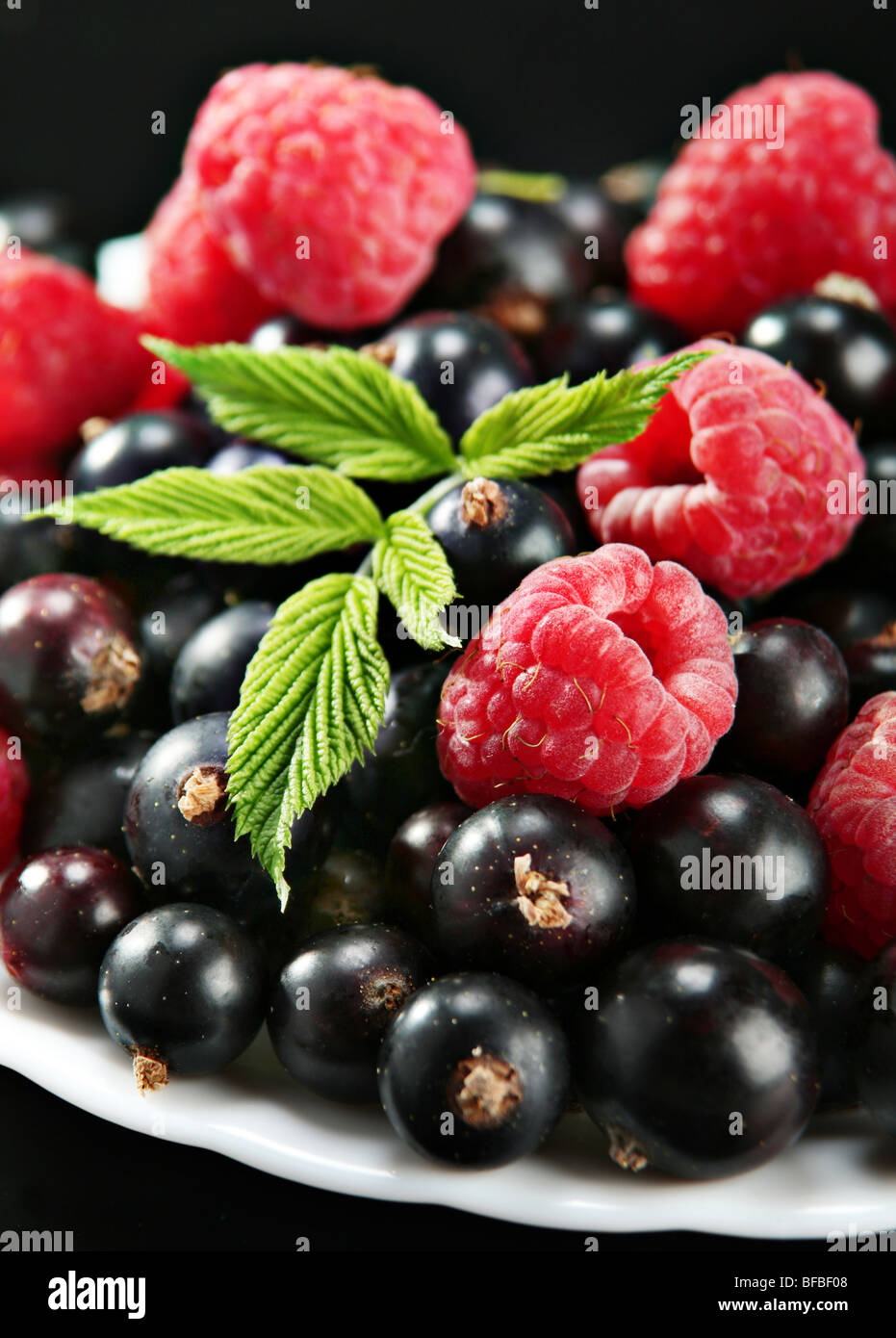 Raspberry with leaf on black currant detail Stock Photo