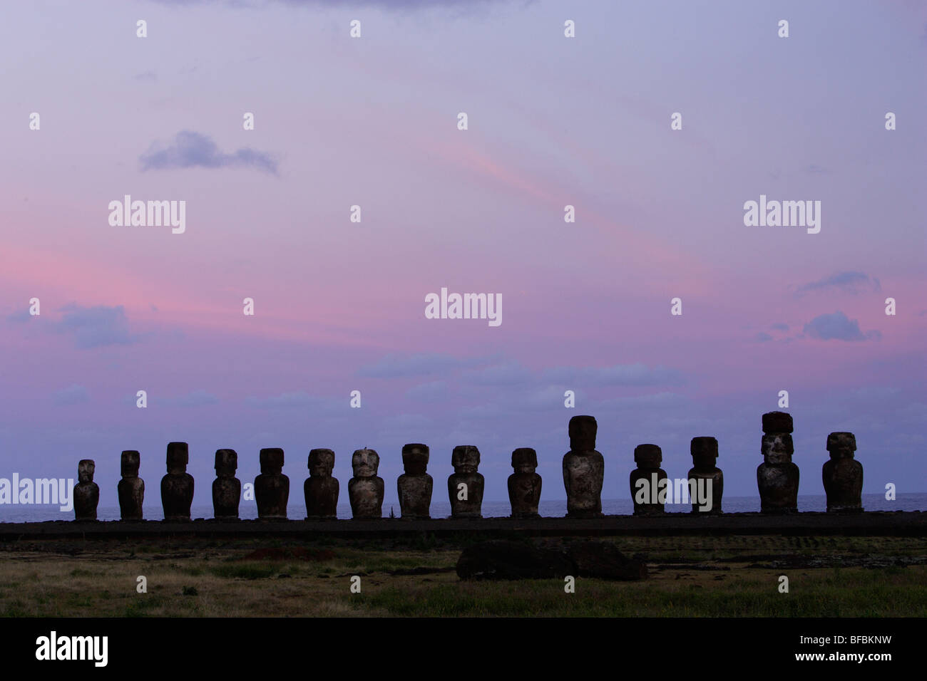 Giant moai statue stand erect in Ahu Tongariki, Easter Island (Isla de Pascua or Rapa Nui