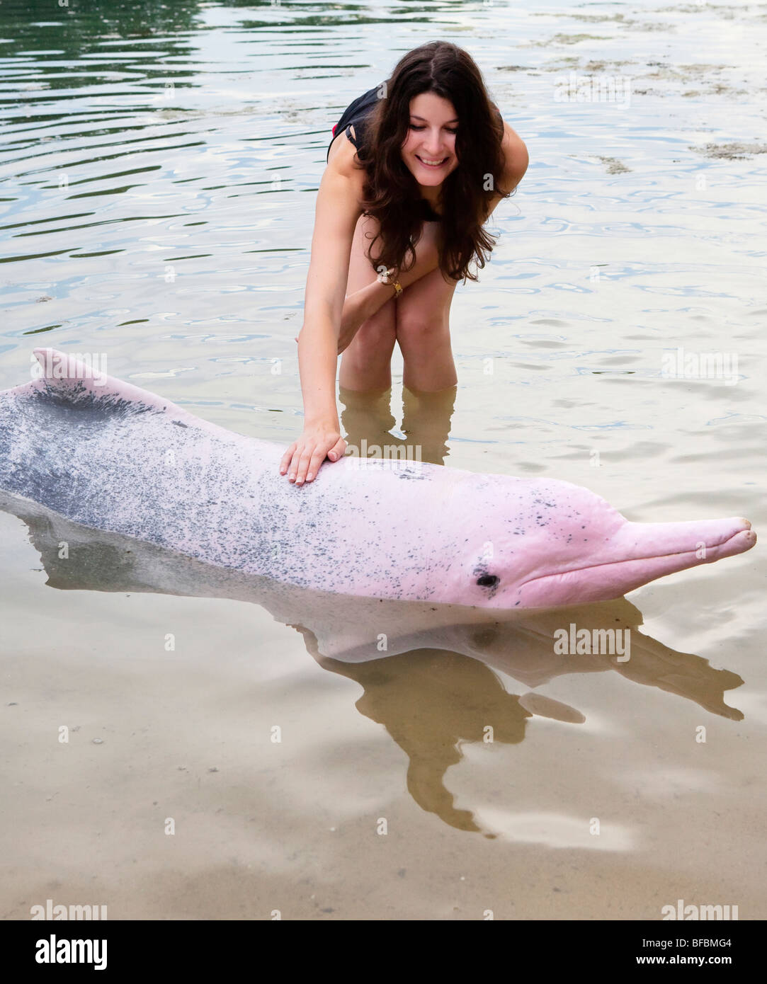 A young woman posing with a pink dolphin Stock Photo