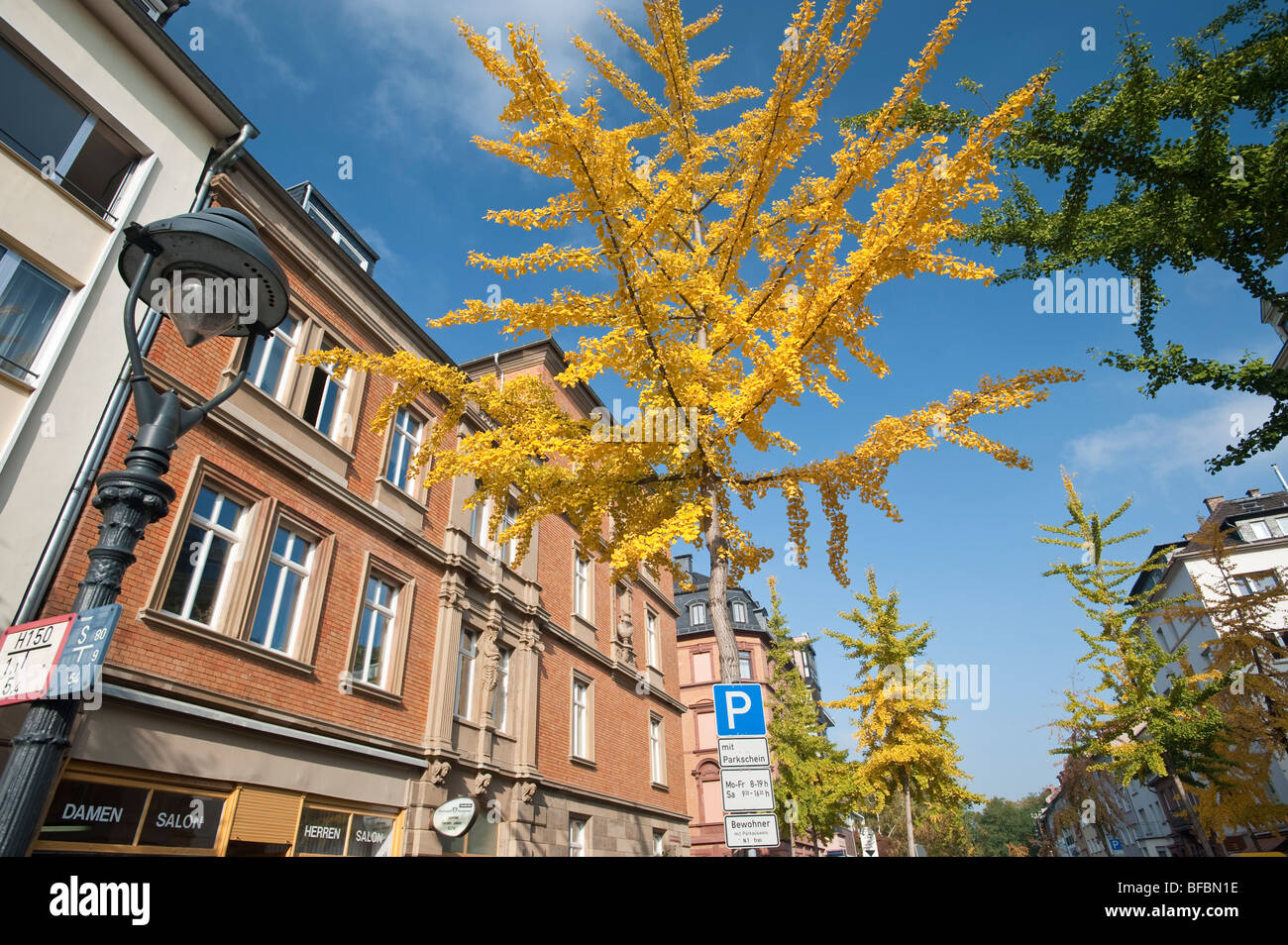 Autumn in Germany. Coloured leaves on the trees at a street crossing Stock Photo