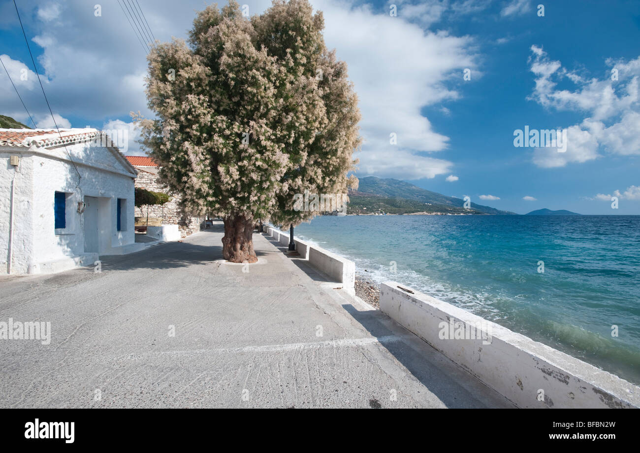drive along houses, tree and a beach near the blue sea with mountains and blue sky with white clouds in the background Stock Photo