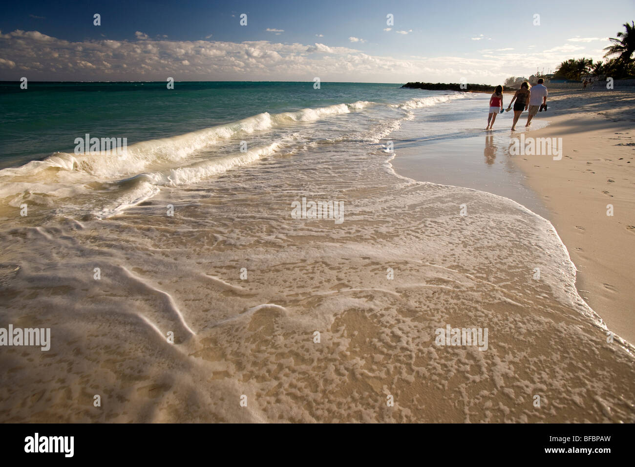 Beach on Grand Bahama Island, Bahamas Stock Photo Alamy