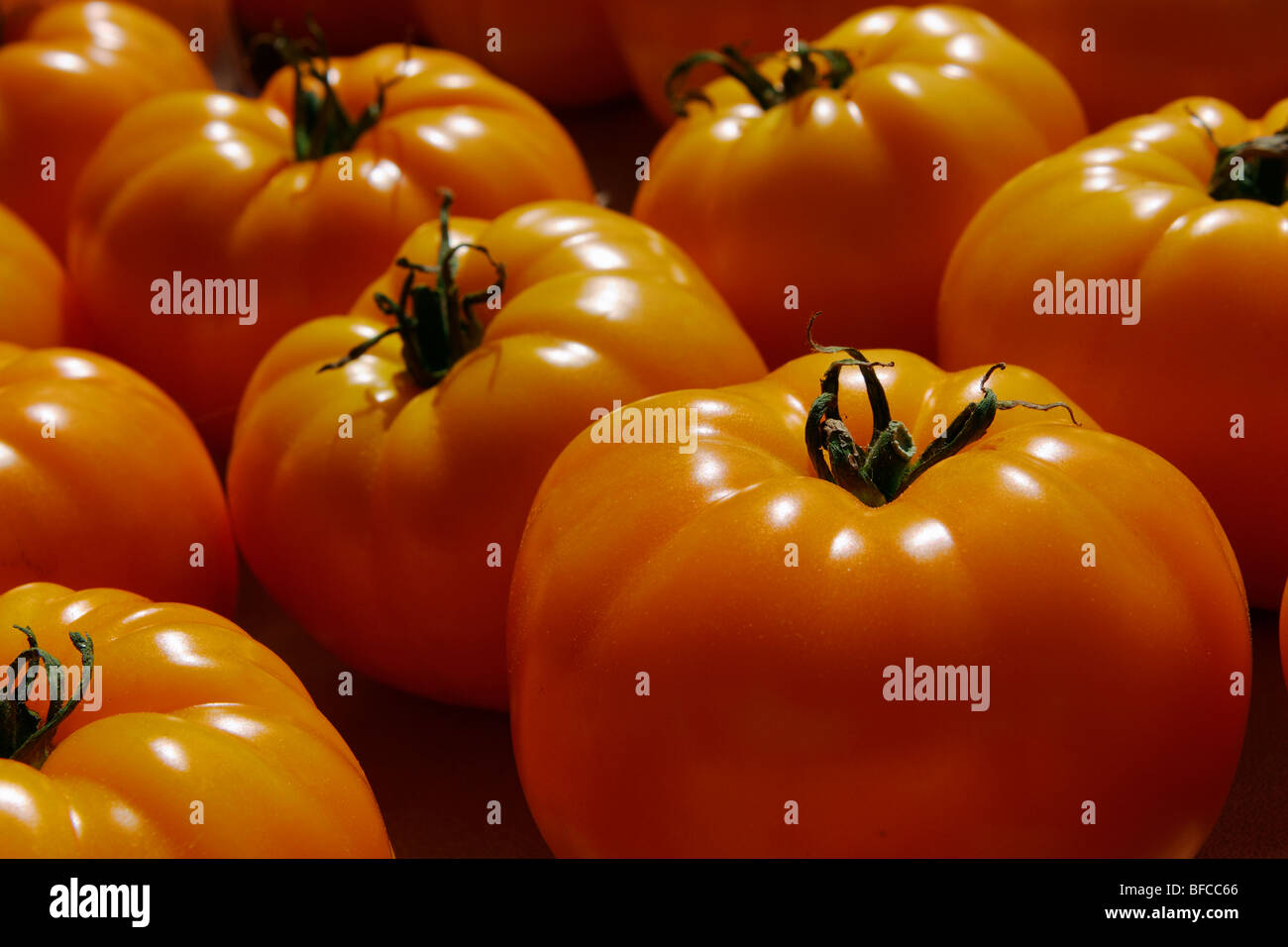 Hothouse tomatoes at a farmers market, Adams Morgan, Washington, DC. Stock Photo