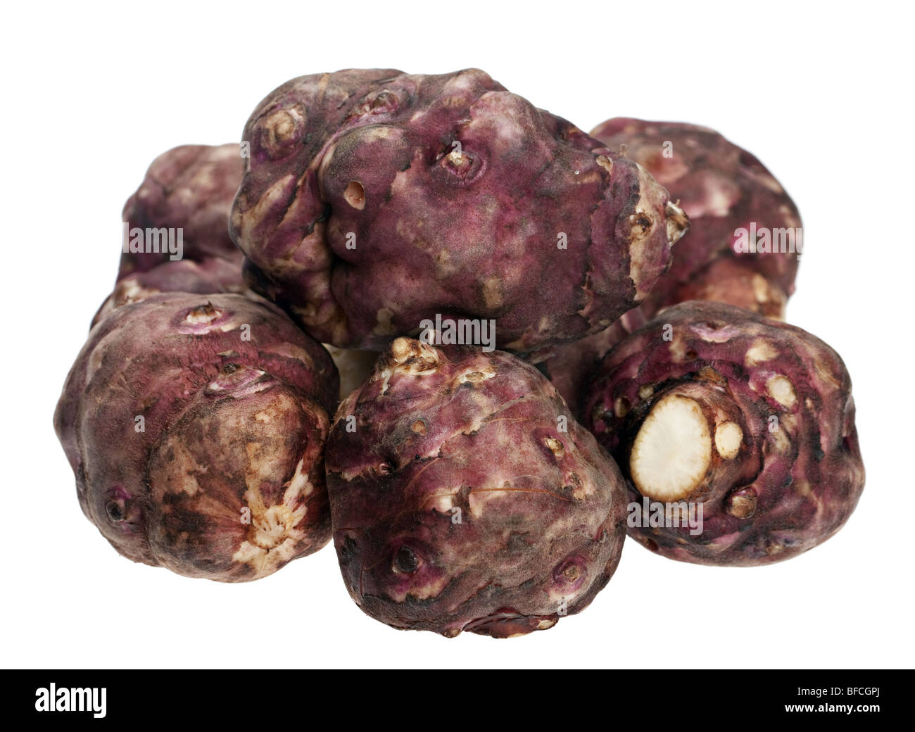 Artichoke vegetable violet root on white background Stock Photo - Alamy
