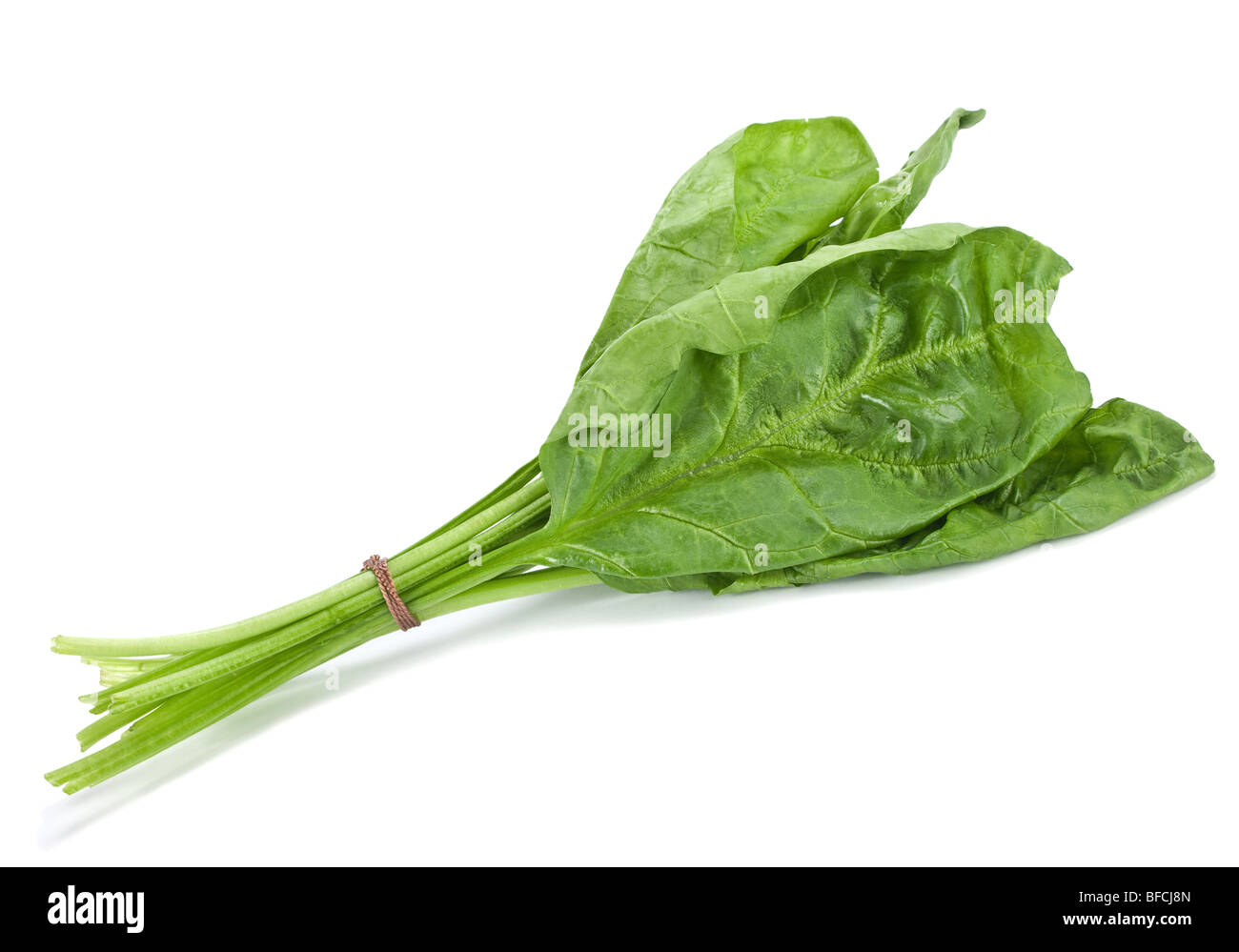 Spinach leaf with root on white background Stock Photo