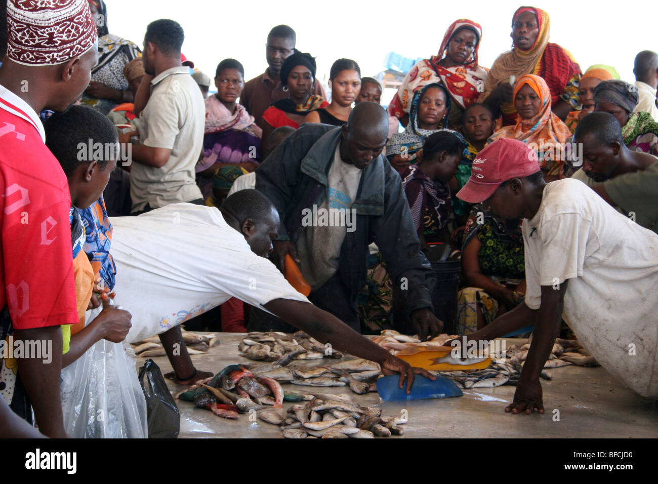 Buyers Haggle For Fresh Fish At Kivukoni Fish Market, Dar-Es-Salaam, Tanzania Stock Photo
