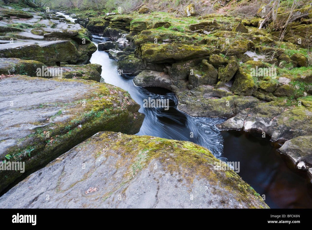 The Strid a narrow channel on the River Wharfe at Bolton Abbey in