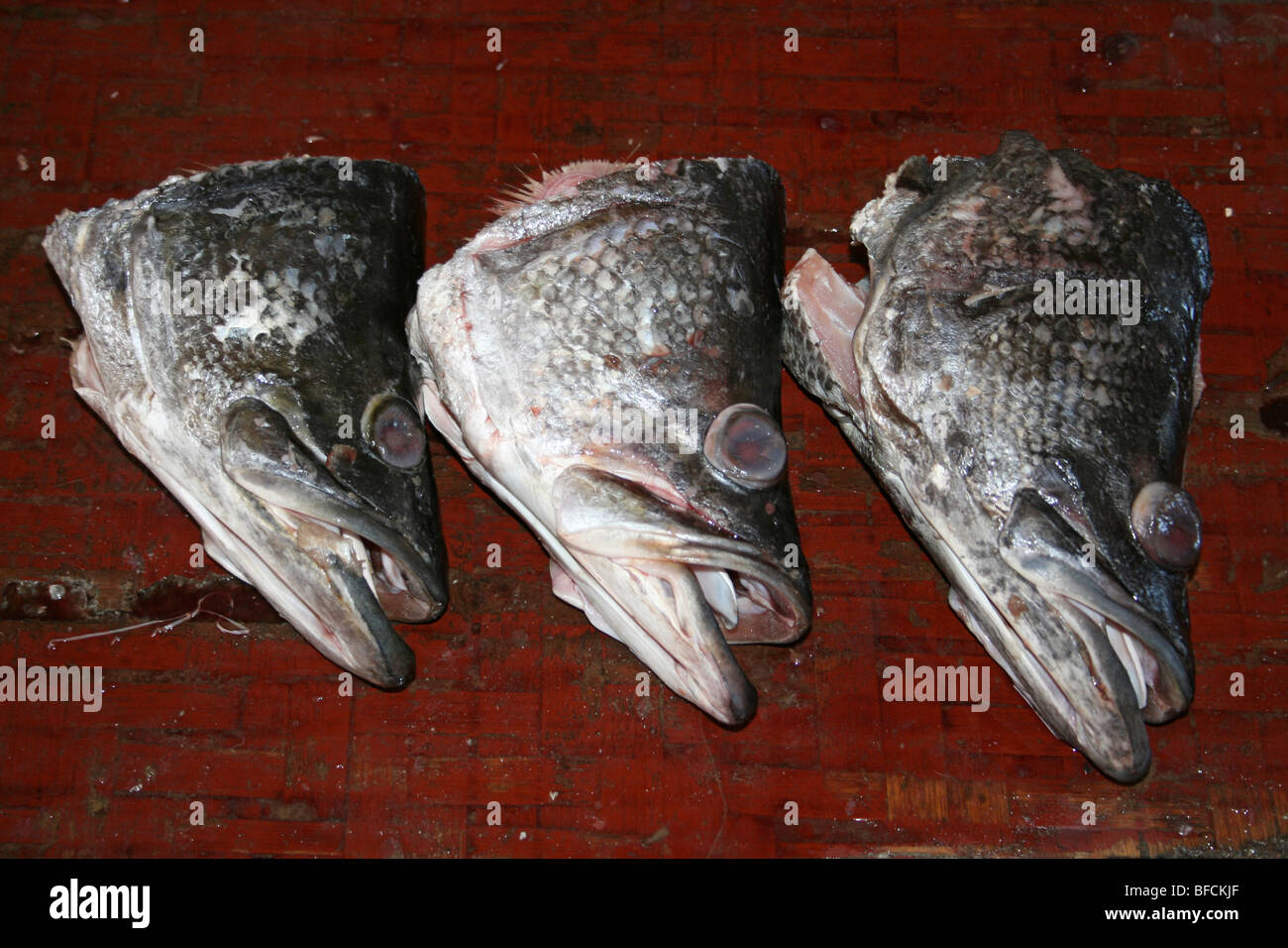 Large Fish Head For Sale At Kivukoni Fish Market, Dar-Es-Salaam, Tanzania Stock Photo