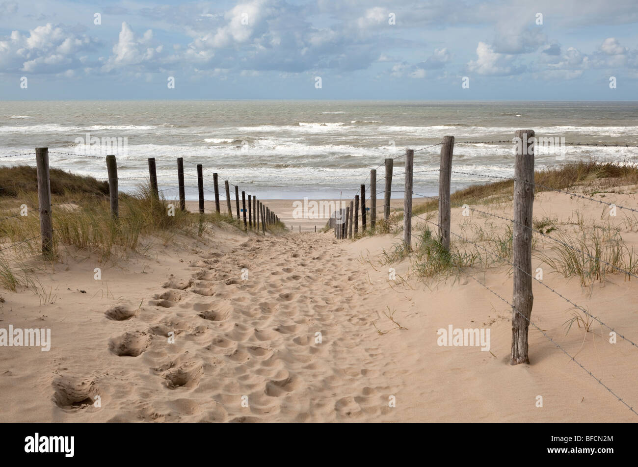 Dunes in Holland Stock Photo