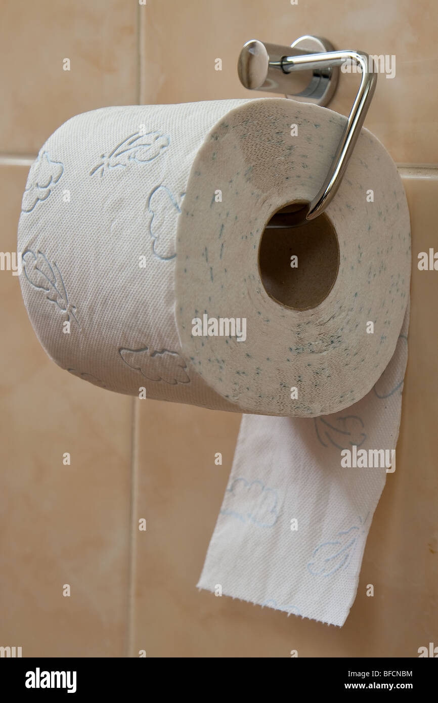 the toilet roll holder in bathroom Stock Photo