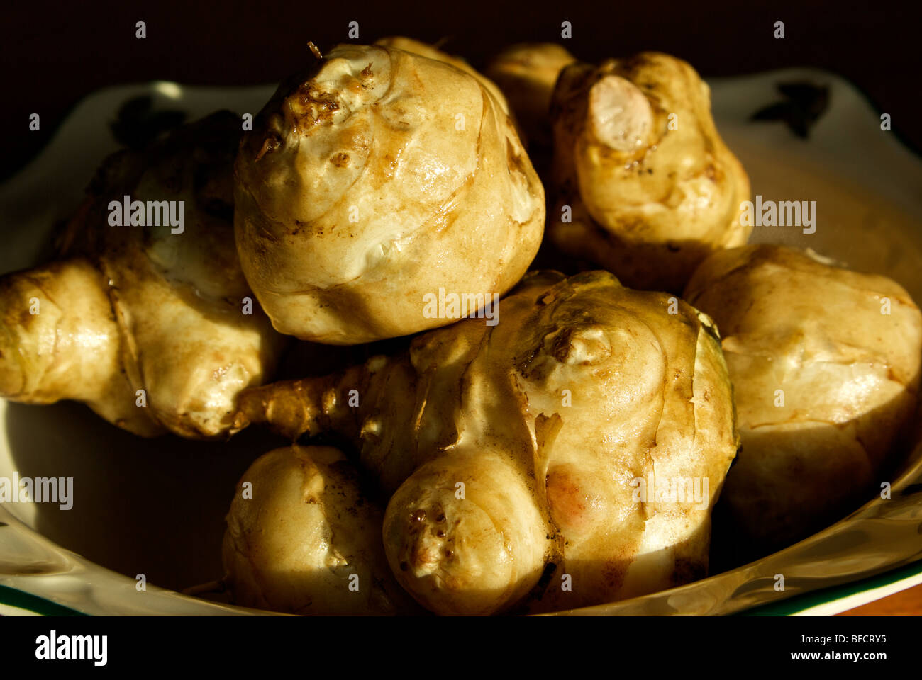 Gnarly Jerusalem artichokes tuberous root of a type of perennial