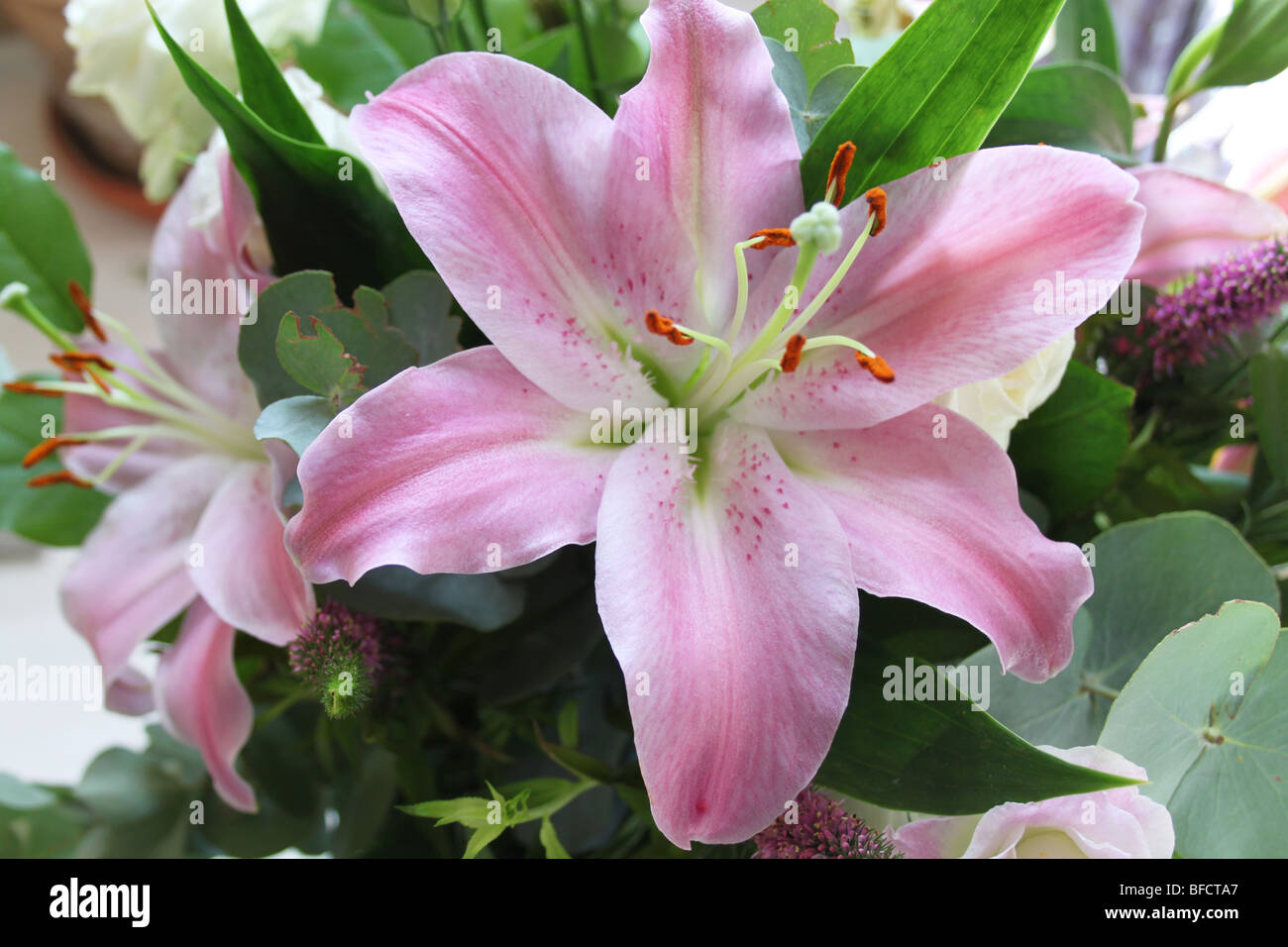 Pink lily in a bouquet Stock Photo Alamy