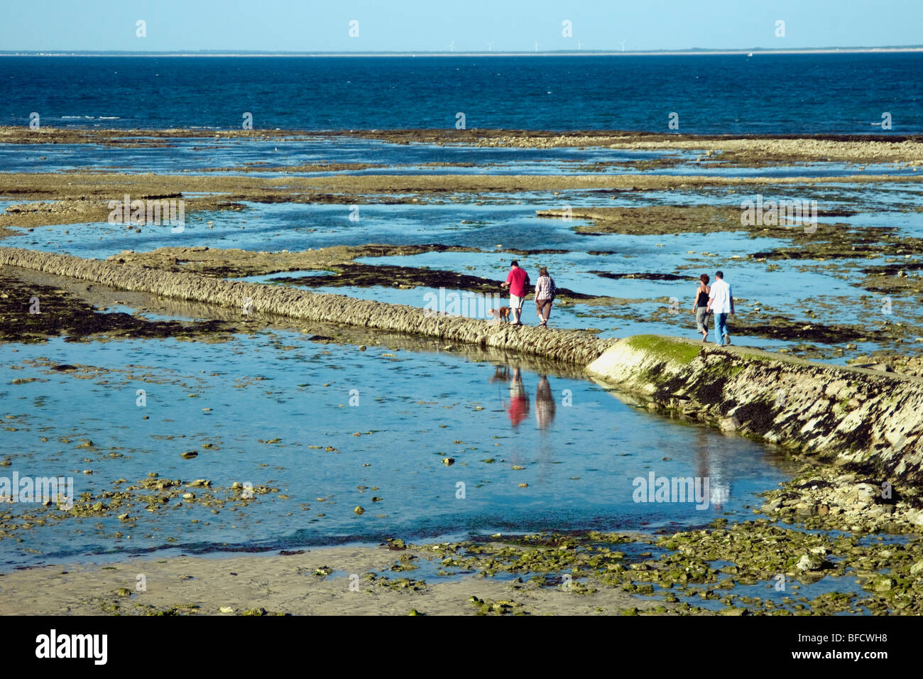 The seashore beyond Ile de Ré's Baleines lighthouse at low tide reveals pathways, low seawalls and constructed fish traps Stock Photo