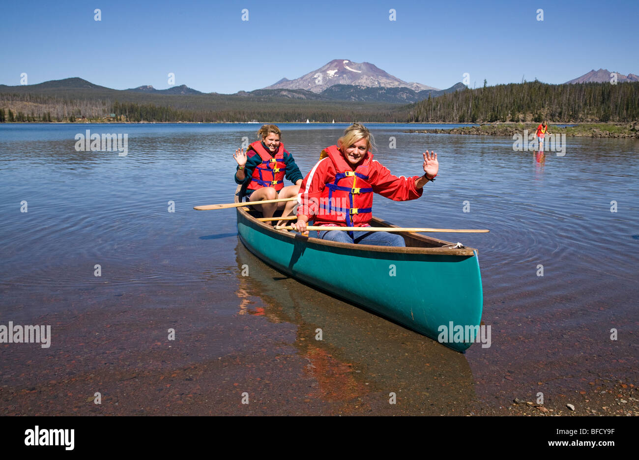 Teenage Elk Stock Photos Teenage Elk Stock Images Alamy