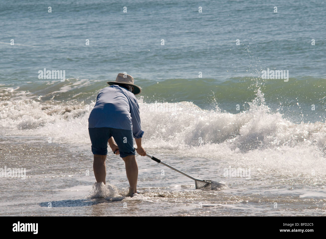 Lady raking for sand fleas (Bait) Stock Photo