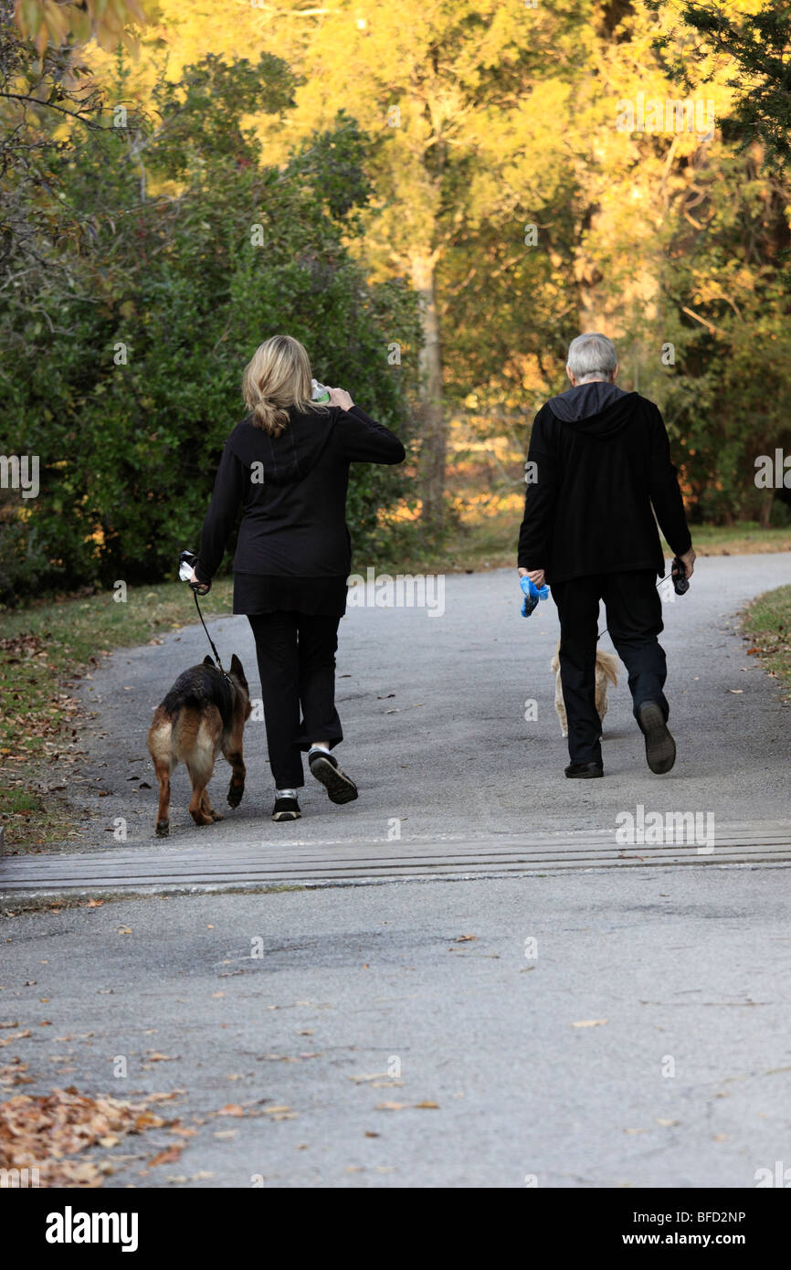 Couple walking dogs in park, Long Island, NY Stock Photo Alamy