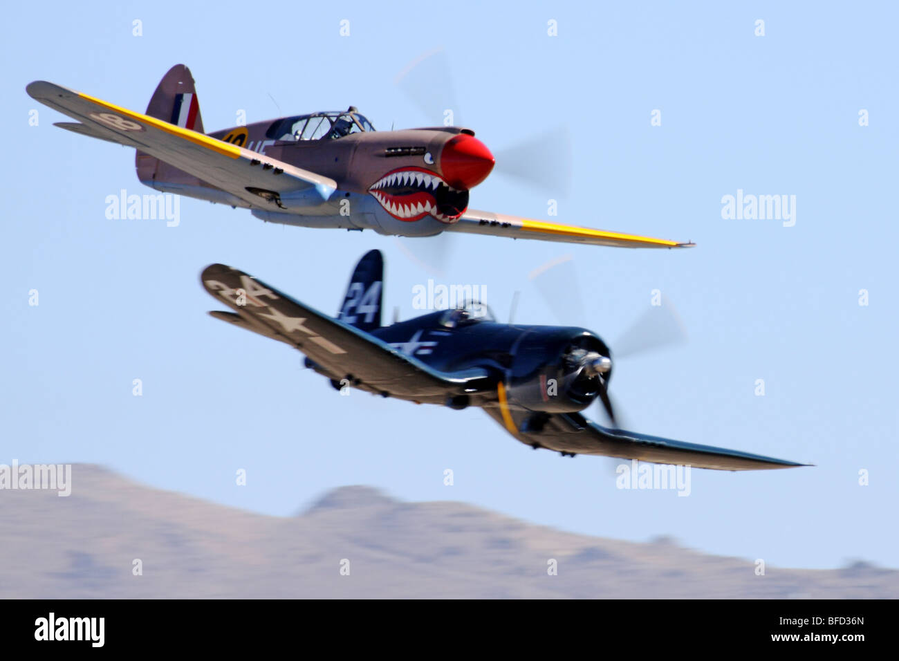 P-40 Warhawk and F4U Corsair battle in air racing action. Stock Photo