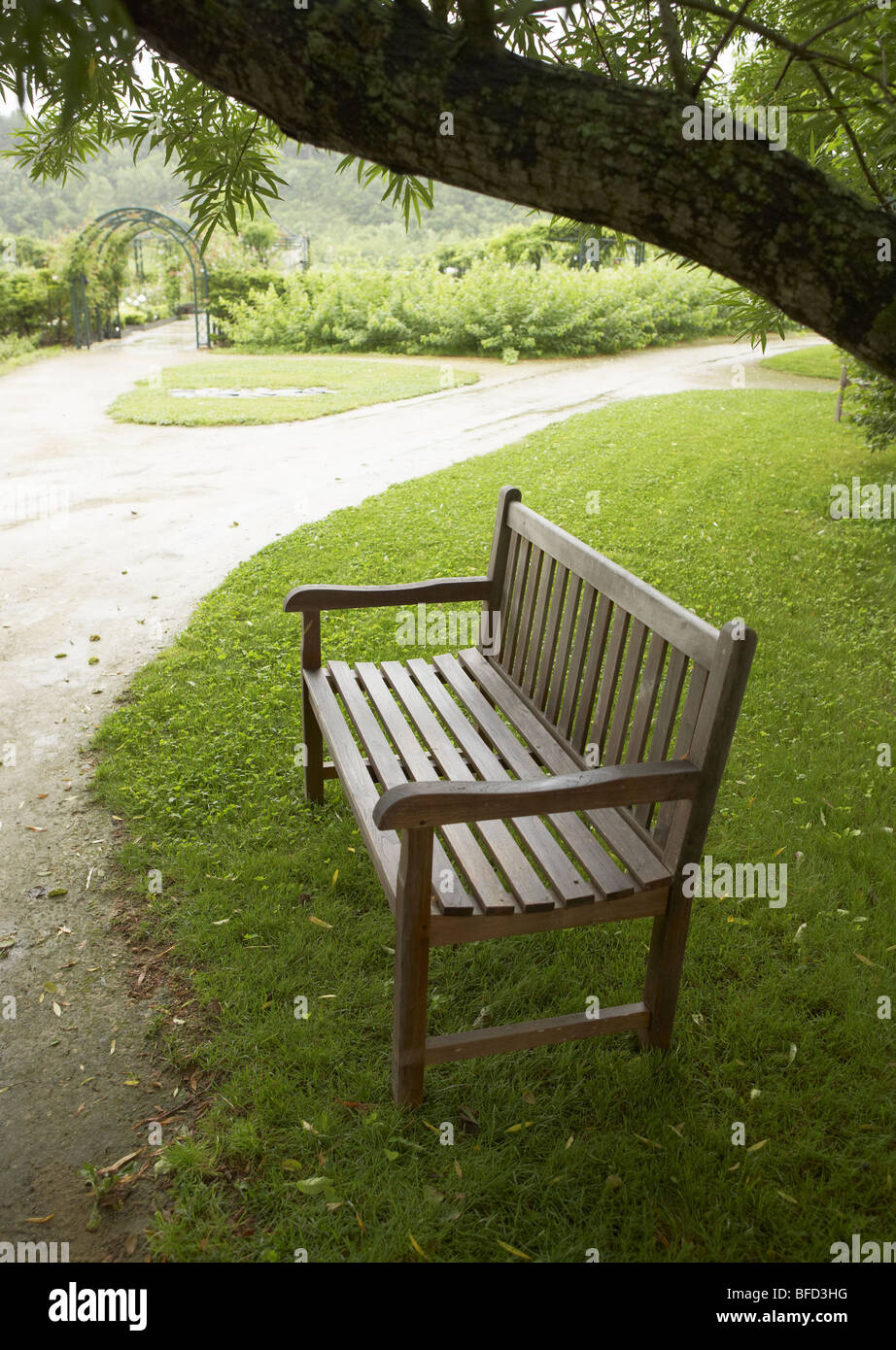 bench-in-the-park-stock-photo-alamy