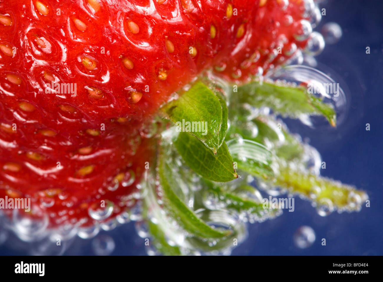 Strawberry seeds up close hi-res stock photography and images - Alamy