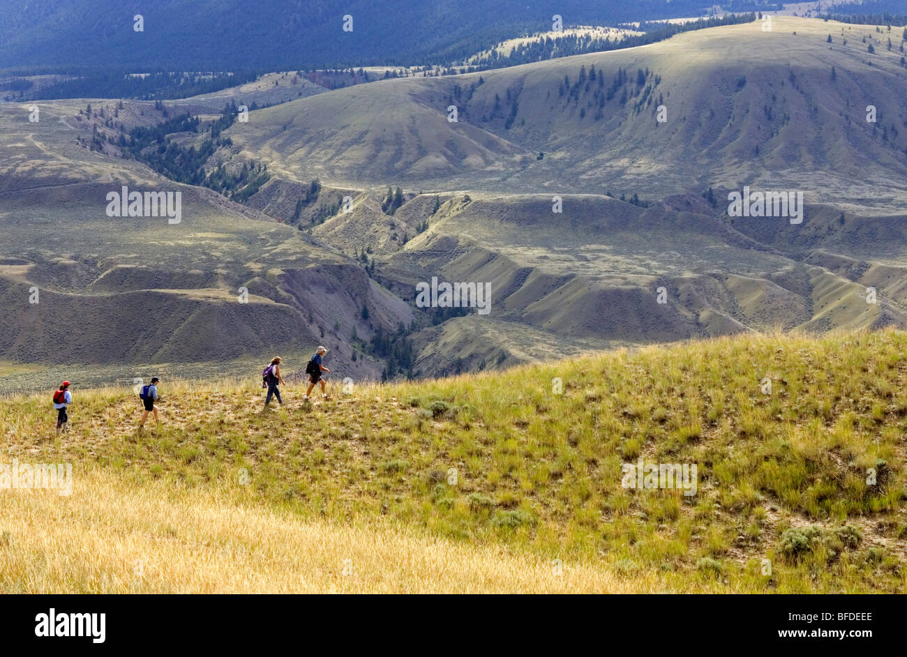 Hiking in the Churn Creek Protected Area grasslands of British Columbia, Canada Stock Photo