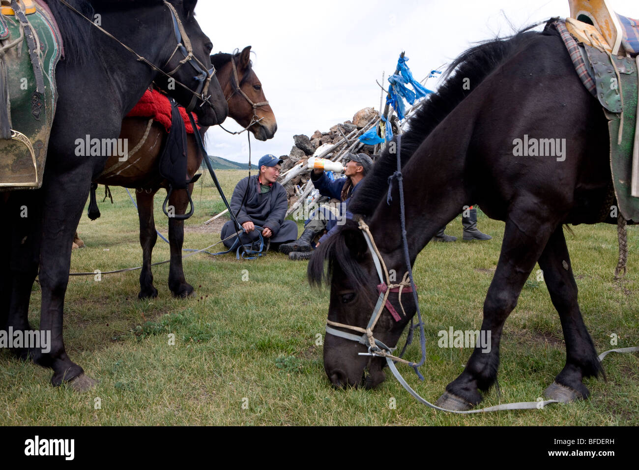 mongolian stallion boots
