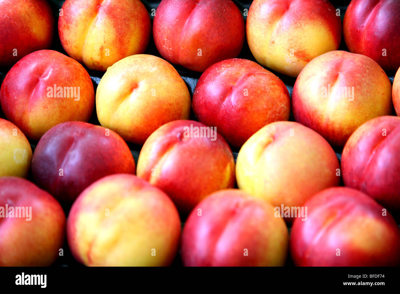 Nectarines in French street market Stock Photo Alamy
