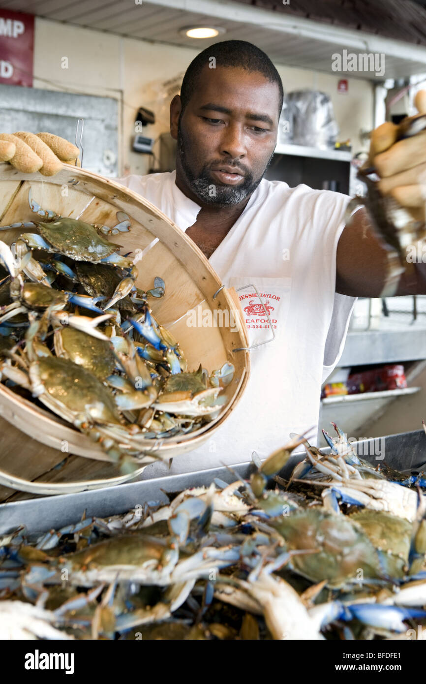 A man sells live crabs by the barrel on a wharf in Washington DC. Stock Photo