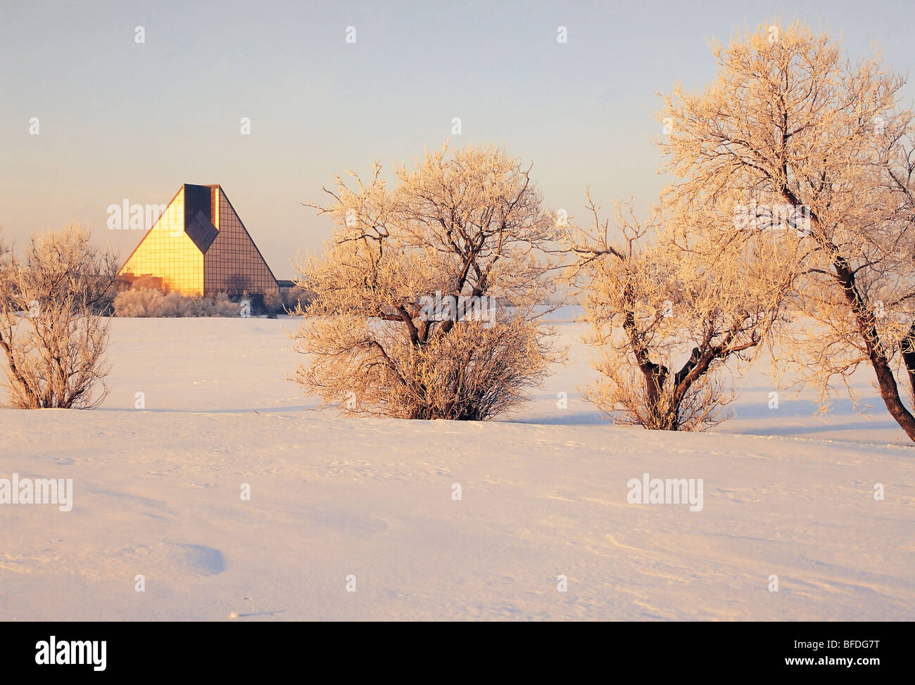 Hoar frost on trees in wintertime, Royal Canadian Mint, Winnipeg