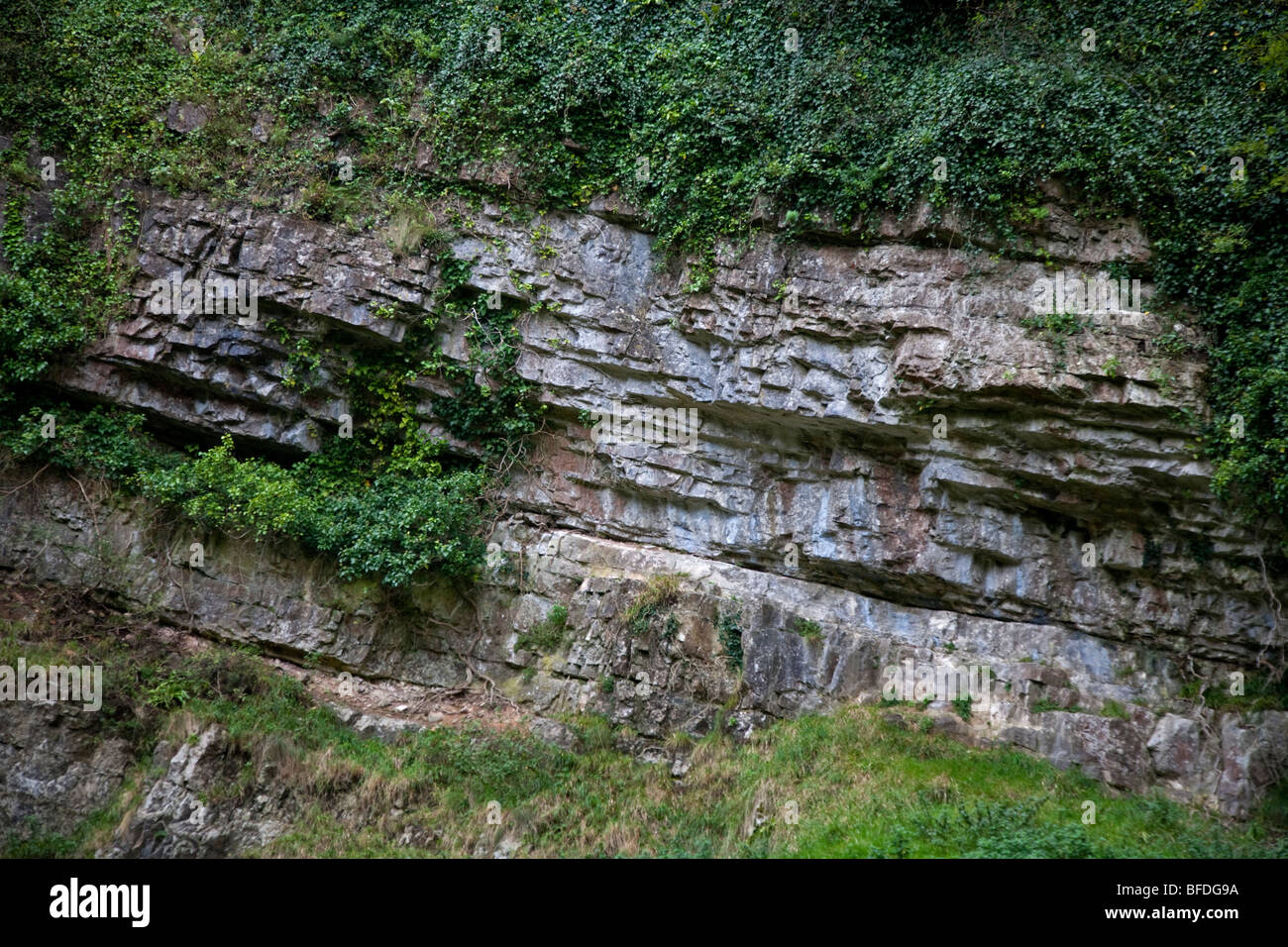 Horizontal Rock Strata, Cheddar Gorge, Somerset, England Stock Photo