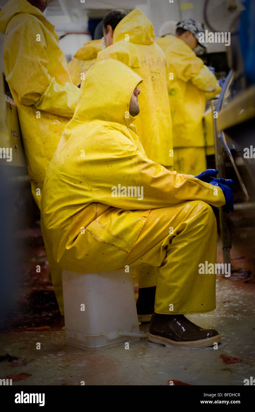 Bristol bay fishing hires stock photography and images Alamy