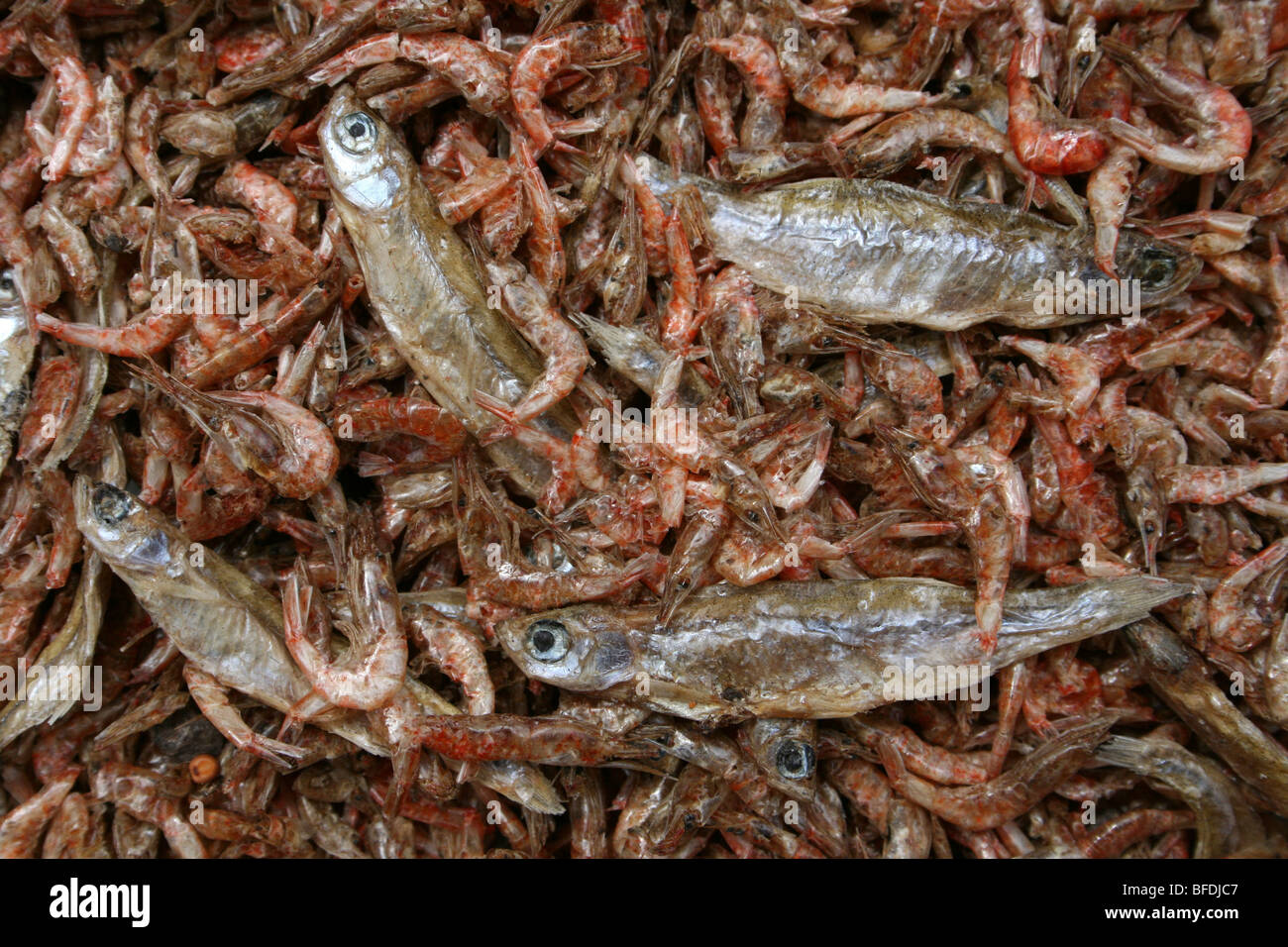 Dried Fish And Shrimps For Sale In Arusha's Central Market, Tanzania Stock Photo