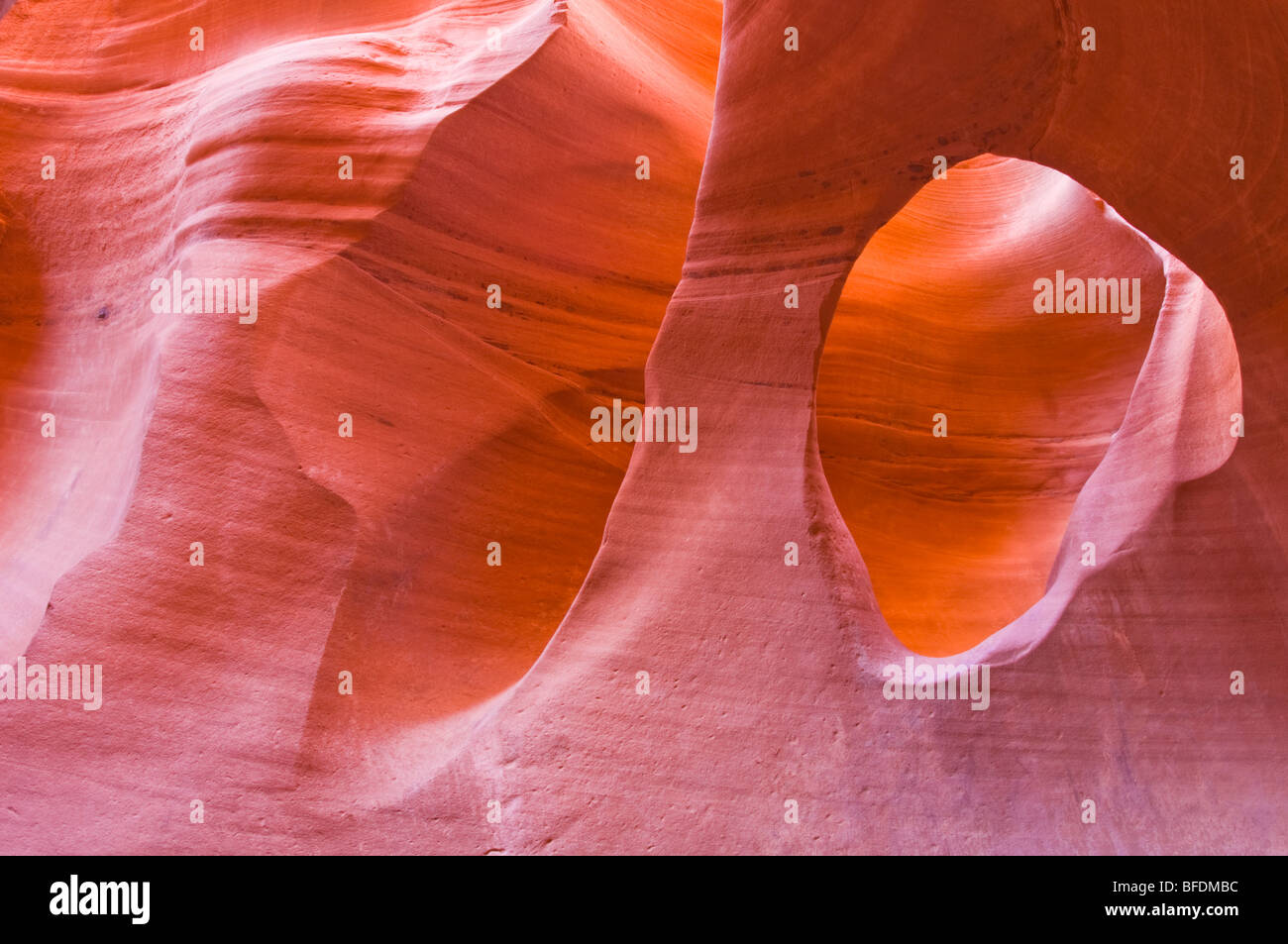 Sandstone formations in Peek-a-boo Gulch, Grand Staircase-Escalante National Monument, Utah Stock Photo