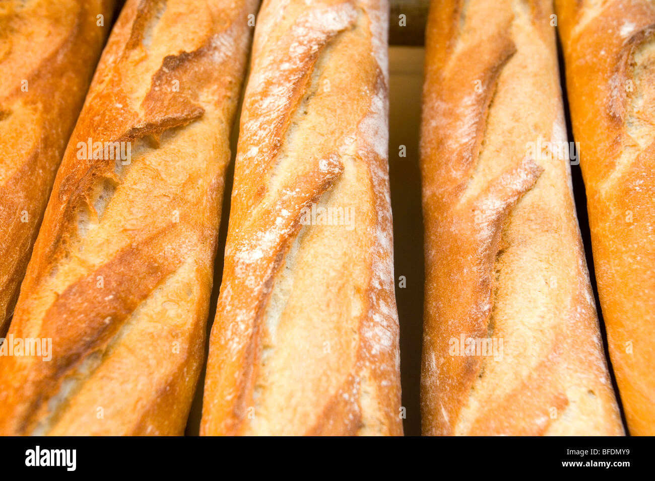 A bunch of Loaves of bread. Stock Photo