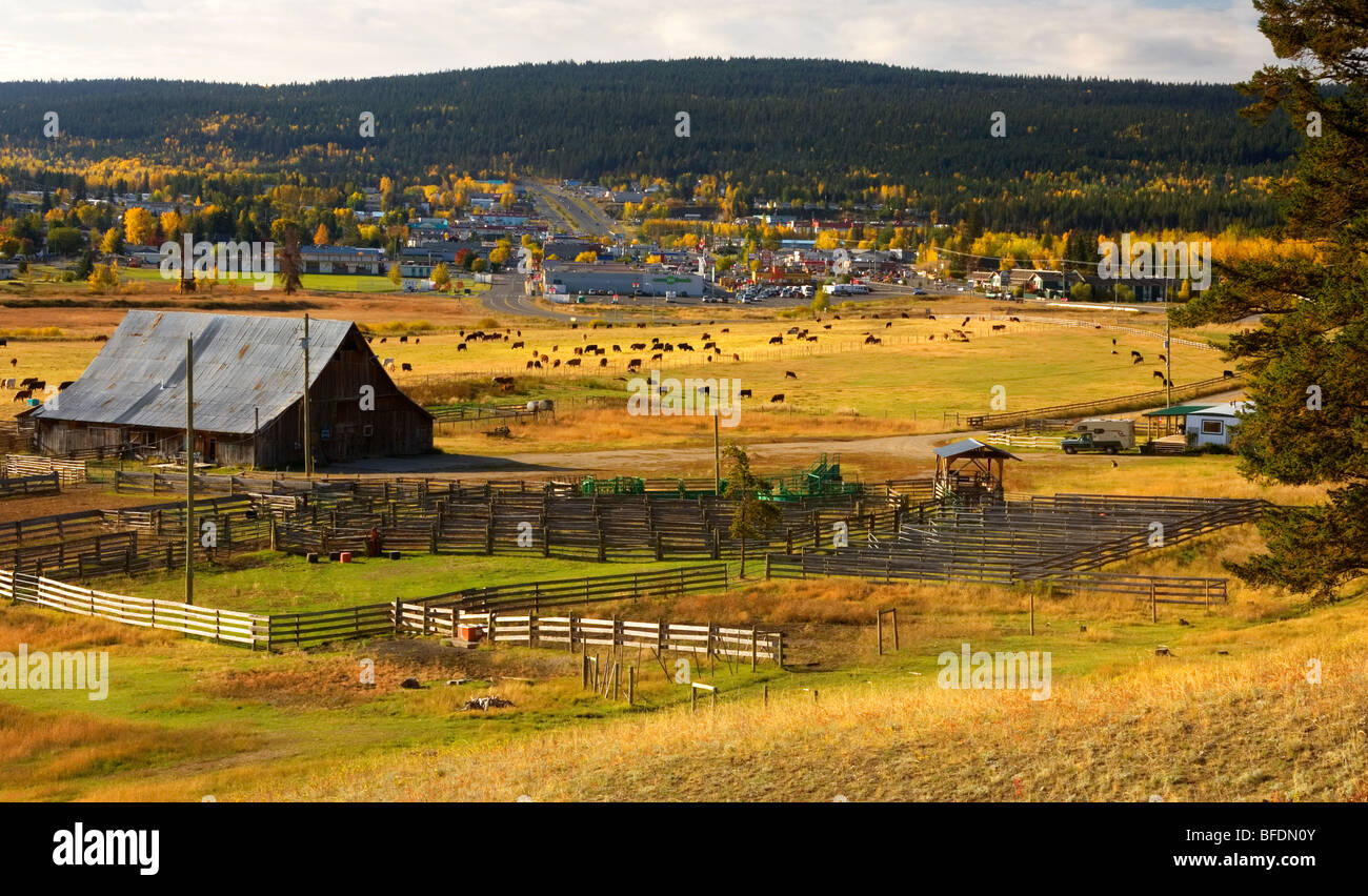 100 Mile Ranch, 100 Mile House, British Columbia, Canada Stock Photo Alamy