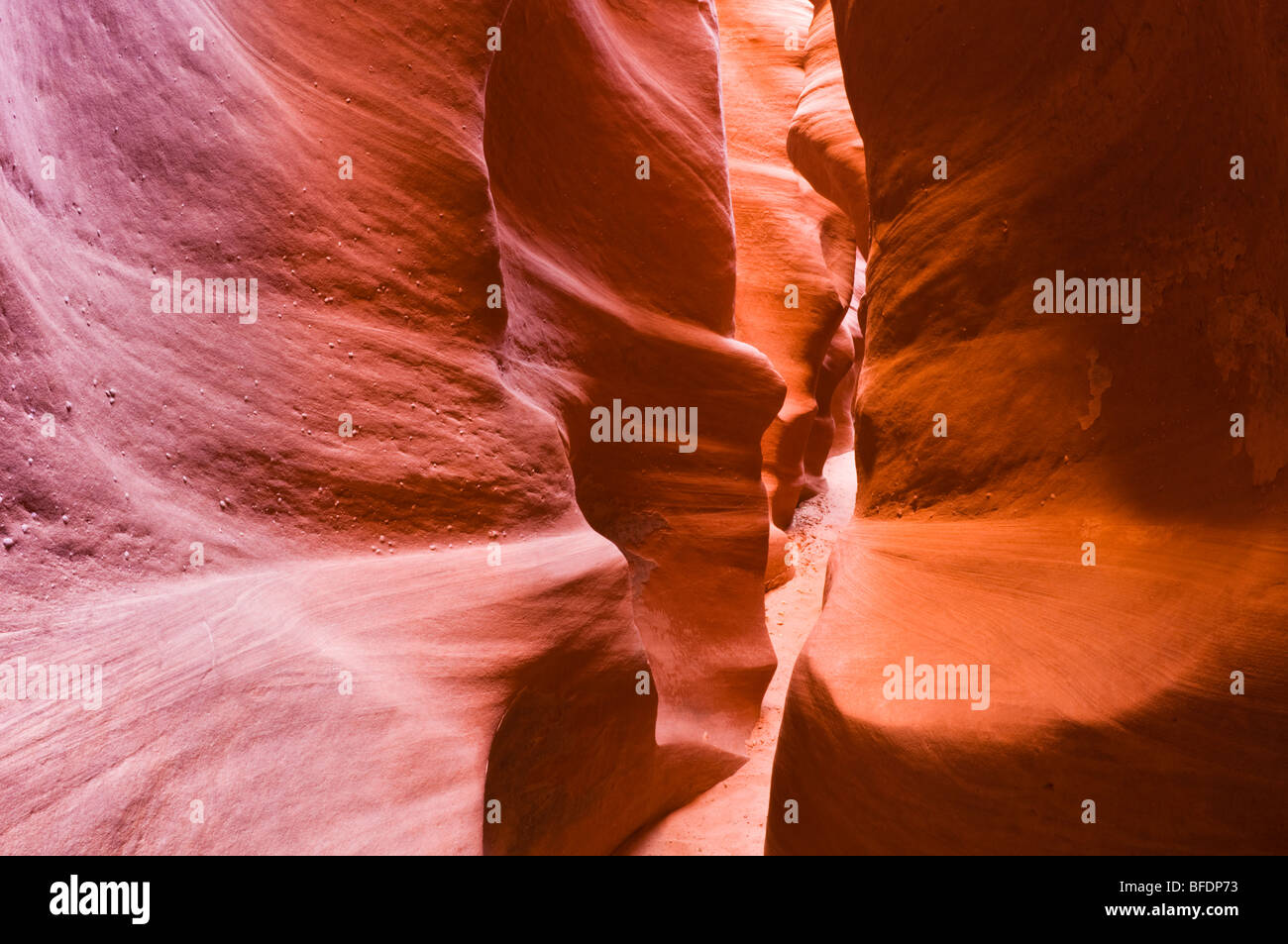Slot canyon in Spooky Gulch Grand Staircase Escalante National