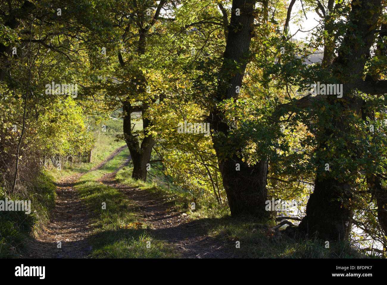 Abbey lane hires stock photography and images Alamy