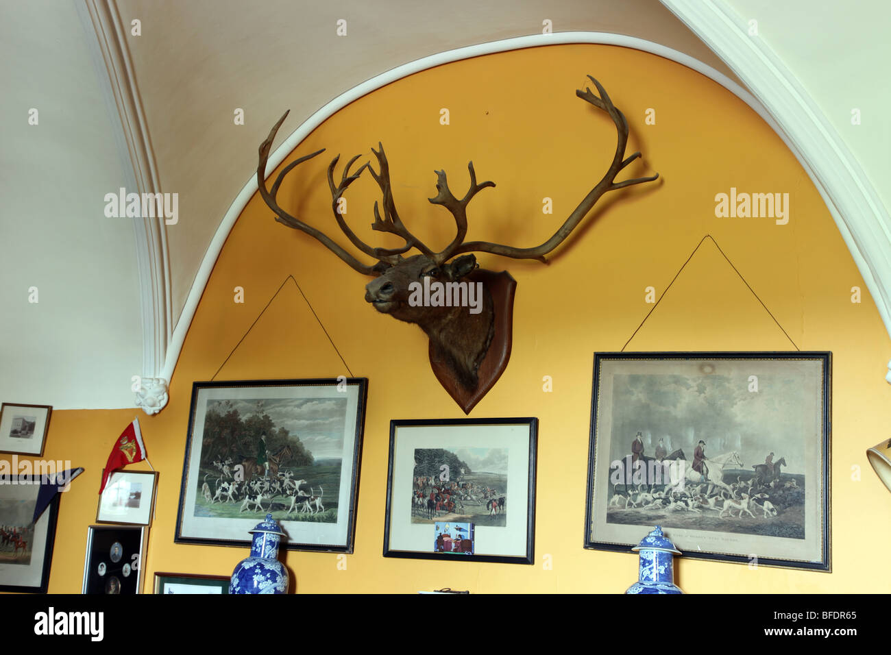 reindeer, Hilton Park, Irish stately home of the Madden family Stock Photo