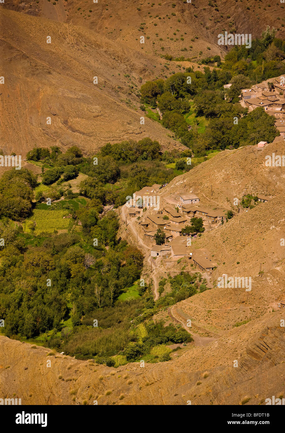 TINIFIFFT PASS, MOROCCO - Oasis of vegetation and cultivated land by river, in Atlas mountain valley. Stock Photo