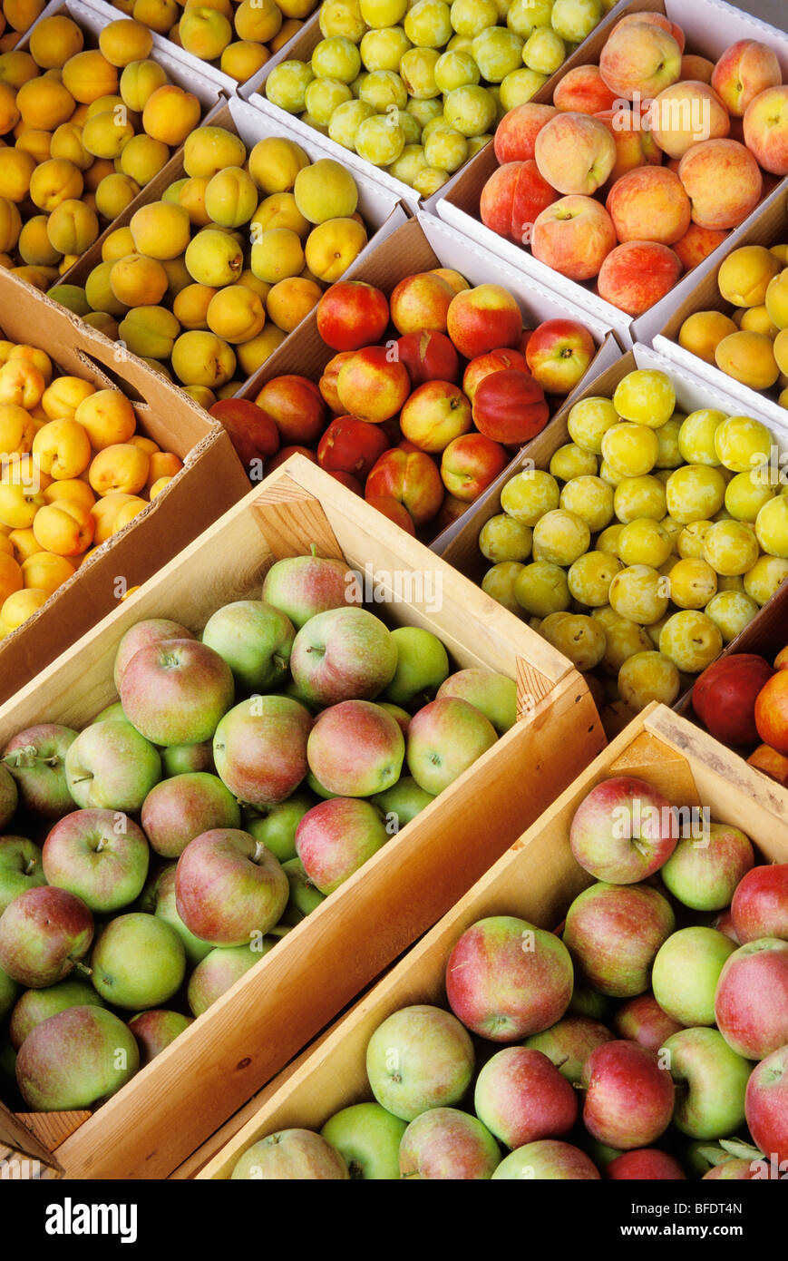 Fresh fruit for sale at Agostinho's Fruit Stand Osoyoos Okanagan Valley