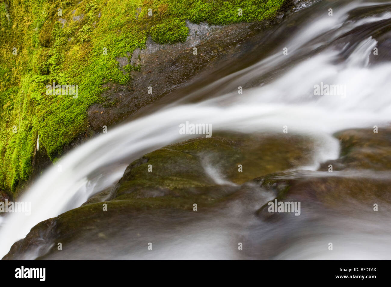 A mountain waterfall at Goldstream Provincial Park in Victoria