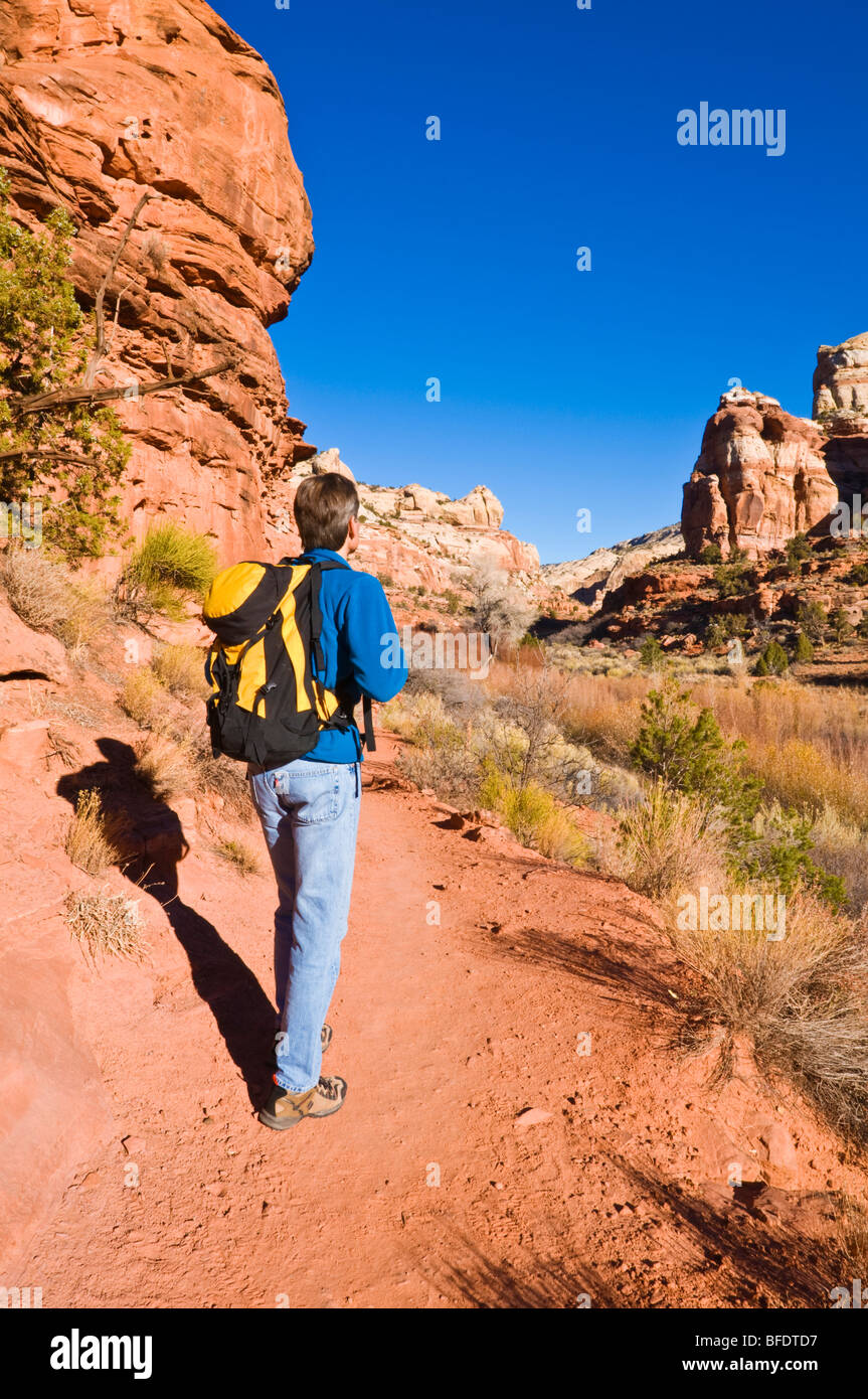 Hiker on the trail to lower Calf Creek Falls, Grand Staircase-Escalante National Monument, Utah Stock Photo