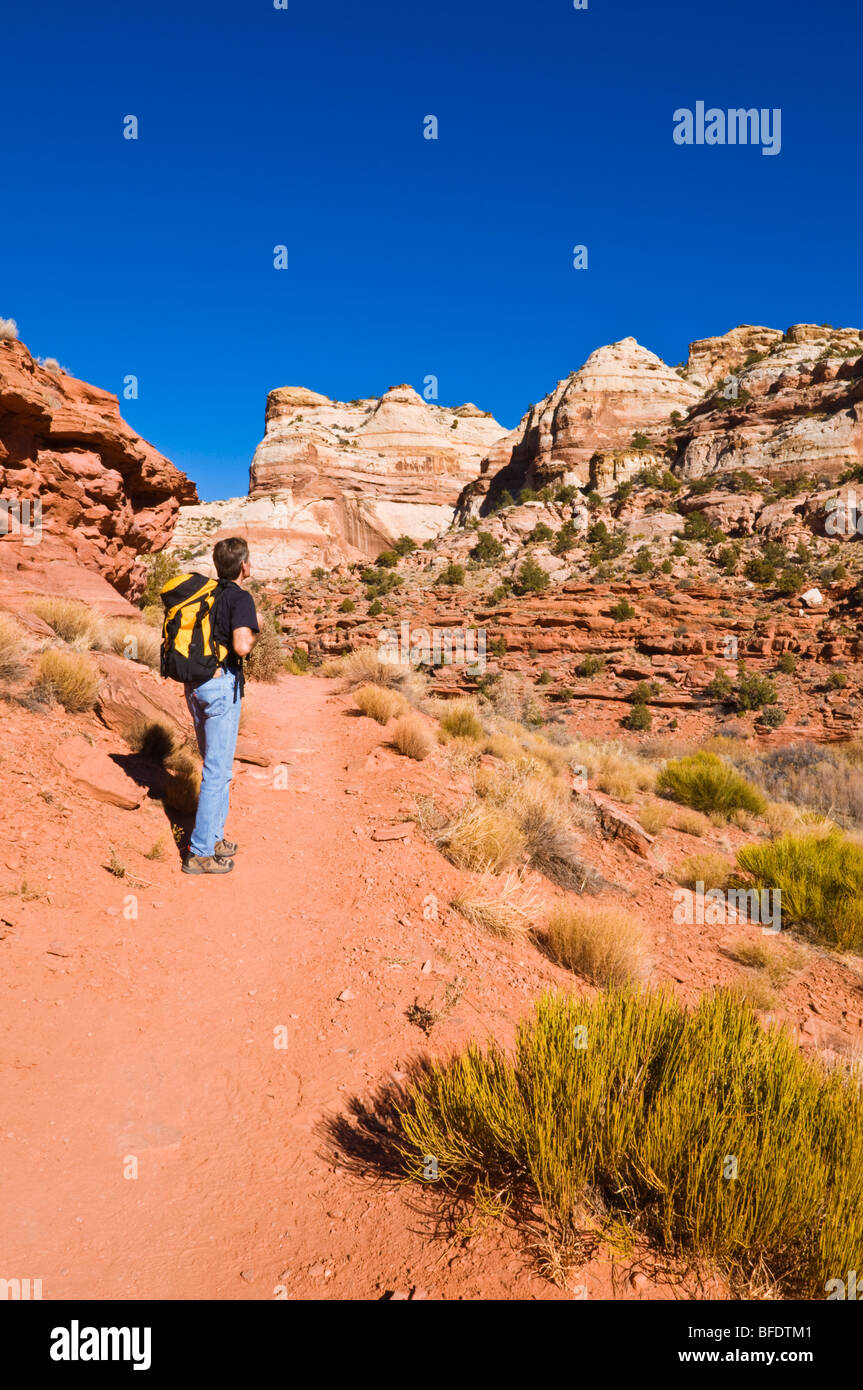 Hiker on the trail to lower Calf Creek Falls, Grand Staircase-Escalante National Monument, Utah Stock Photo
