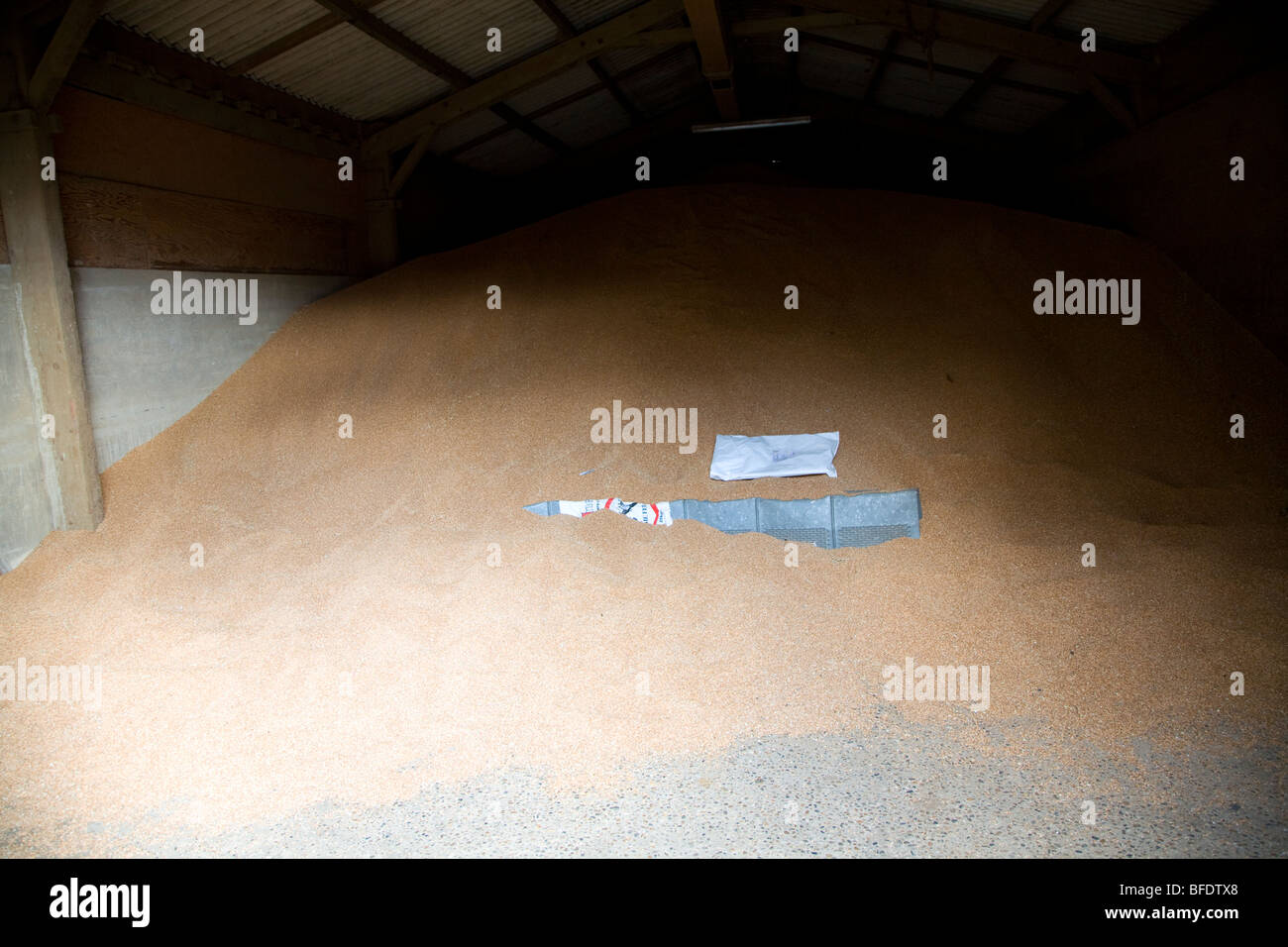 Grain store in farm Stock Photo Alamy